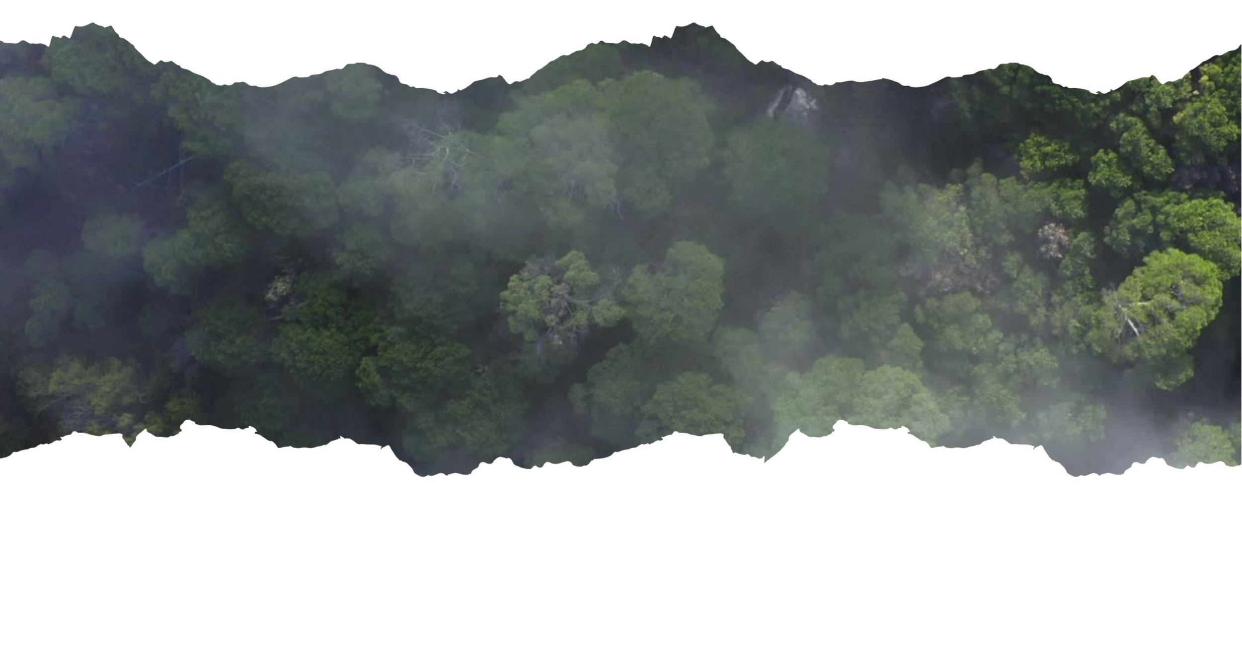 Field Reading from COP - November 15, 2025