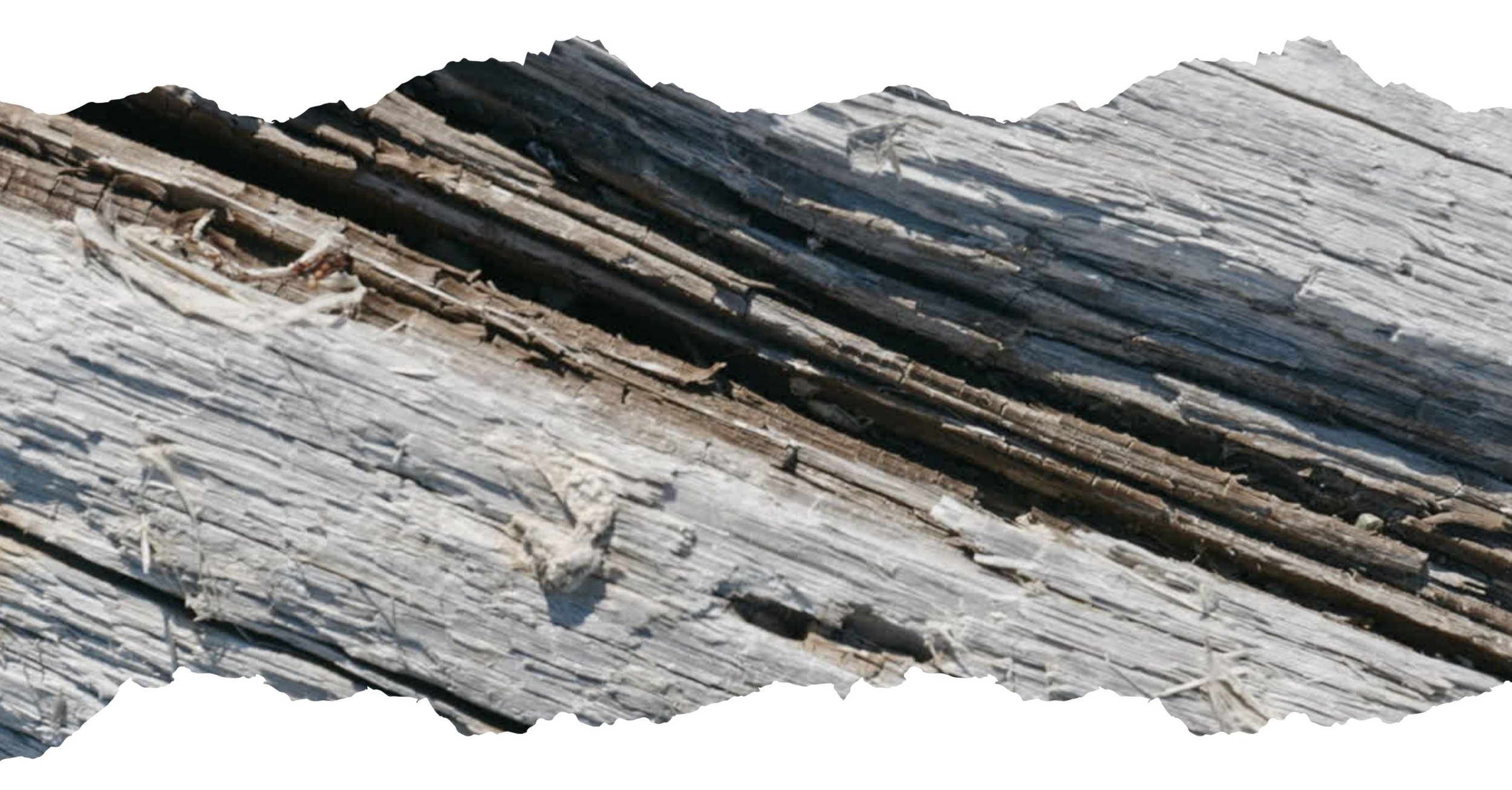 Field Reading from COP - November 21, 2025