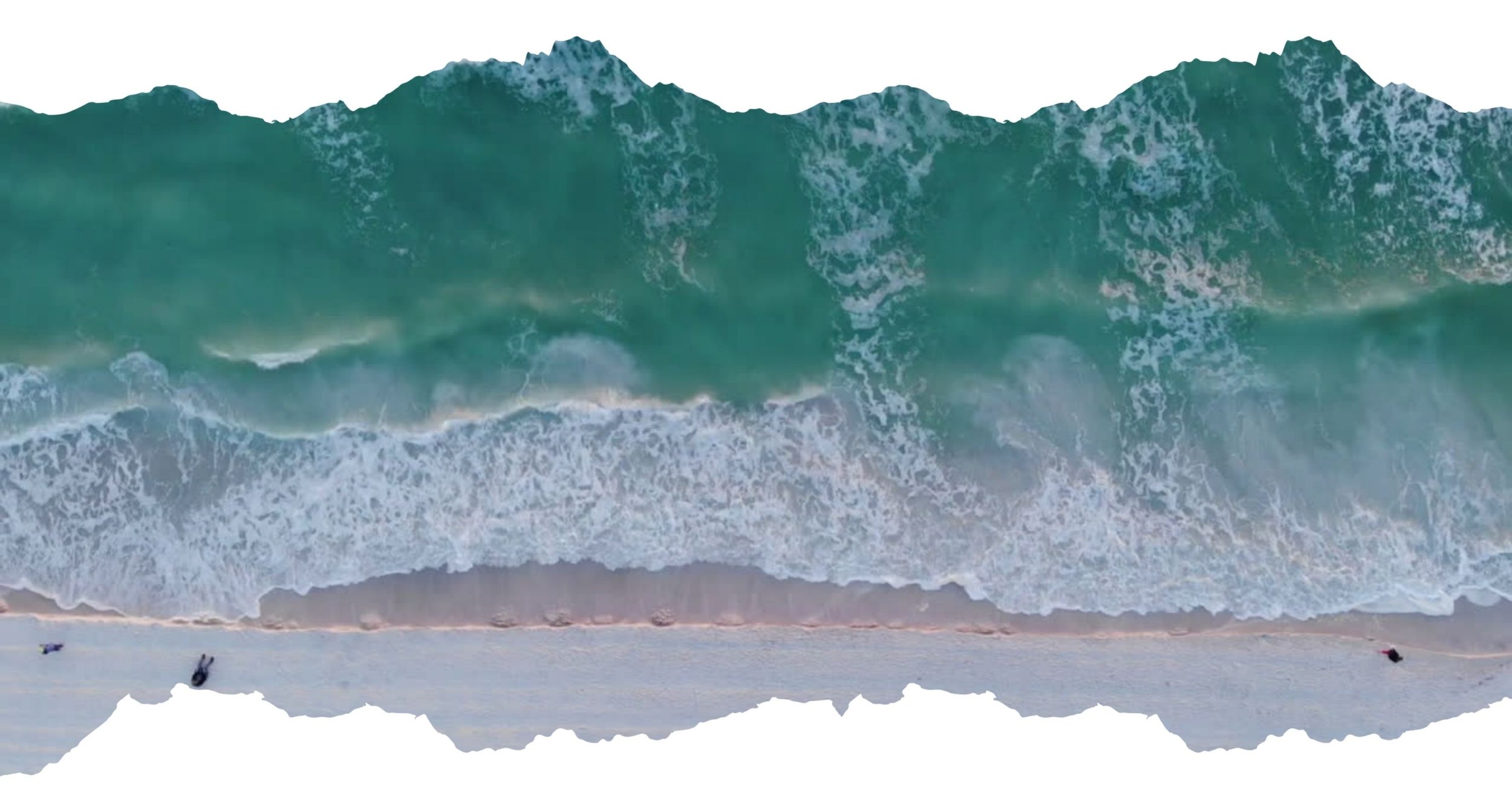 Field Reading - January 29, 2026