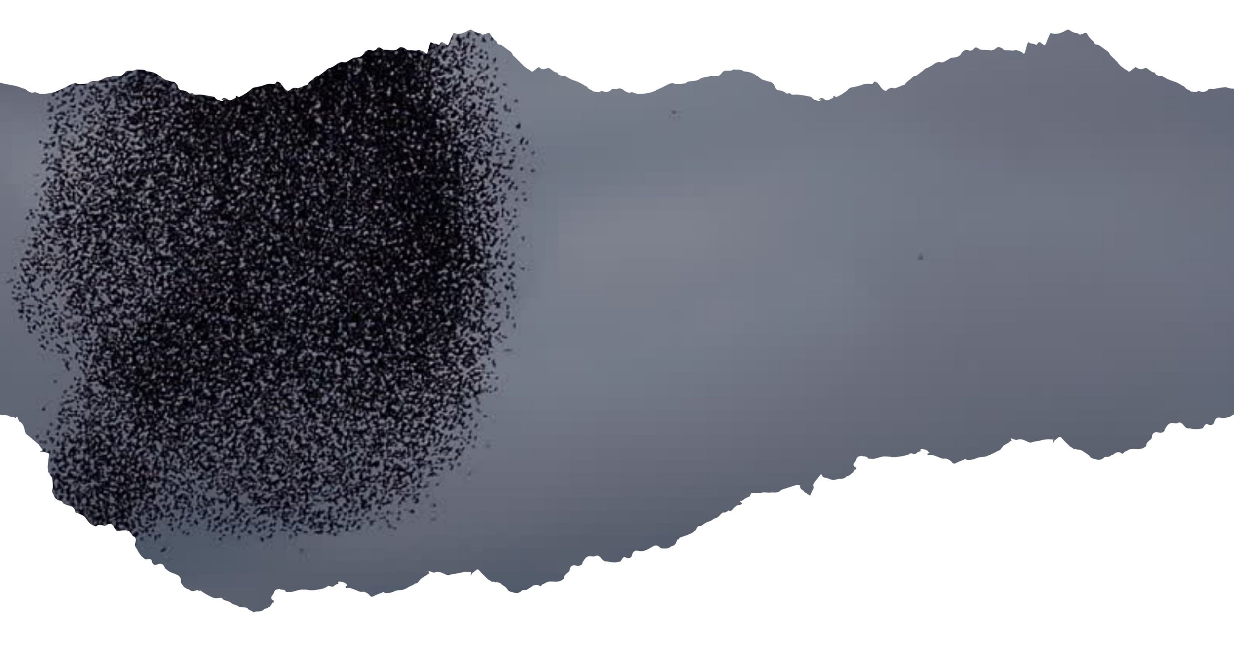 Field Reading - February 24, 2026