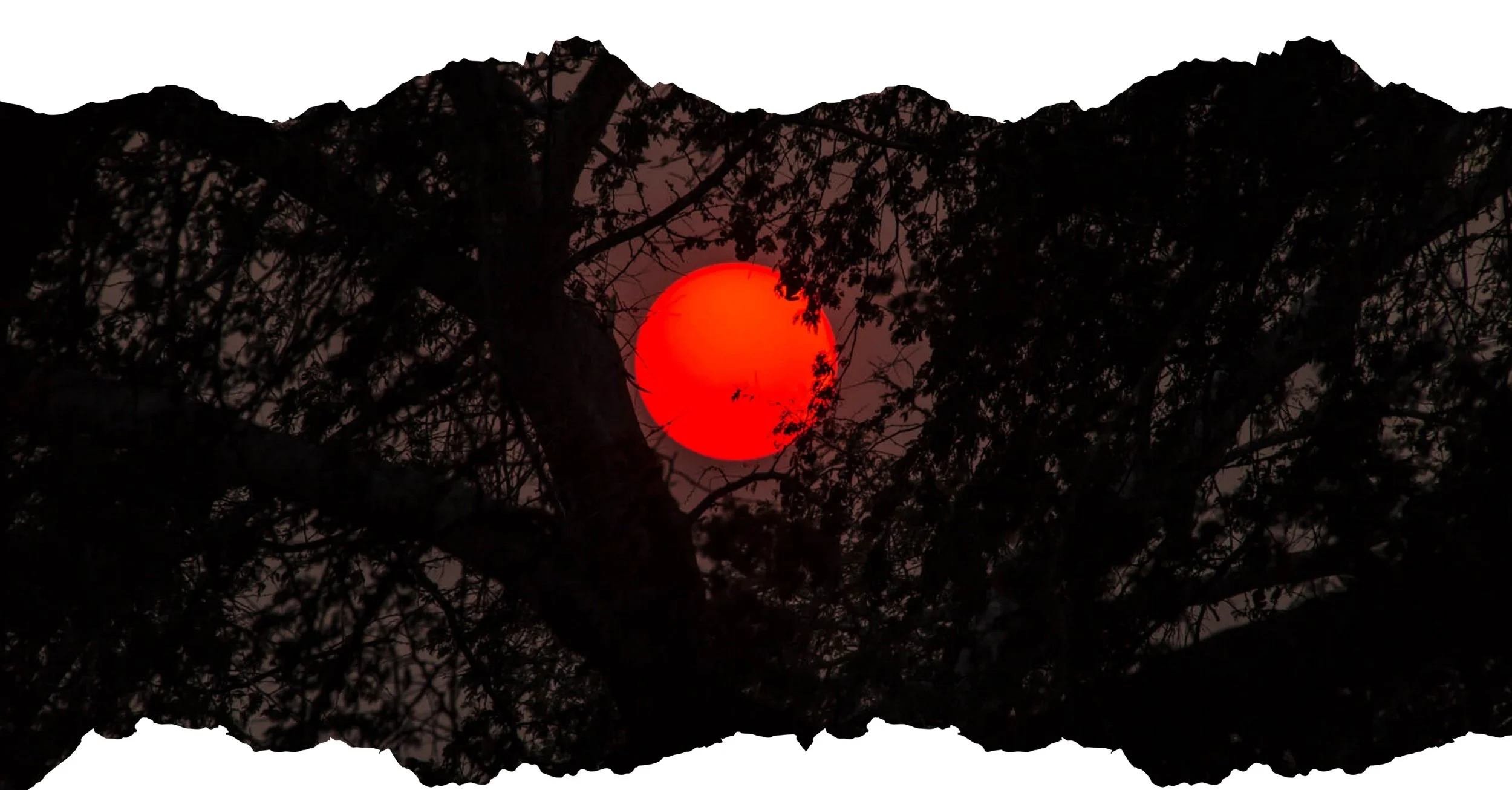 Field Reading from COP - November 10, 2025