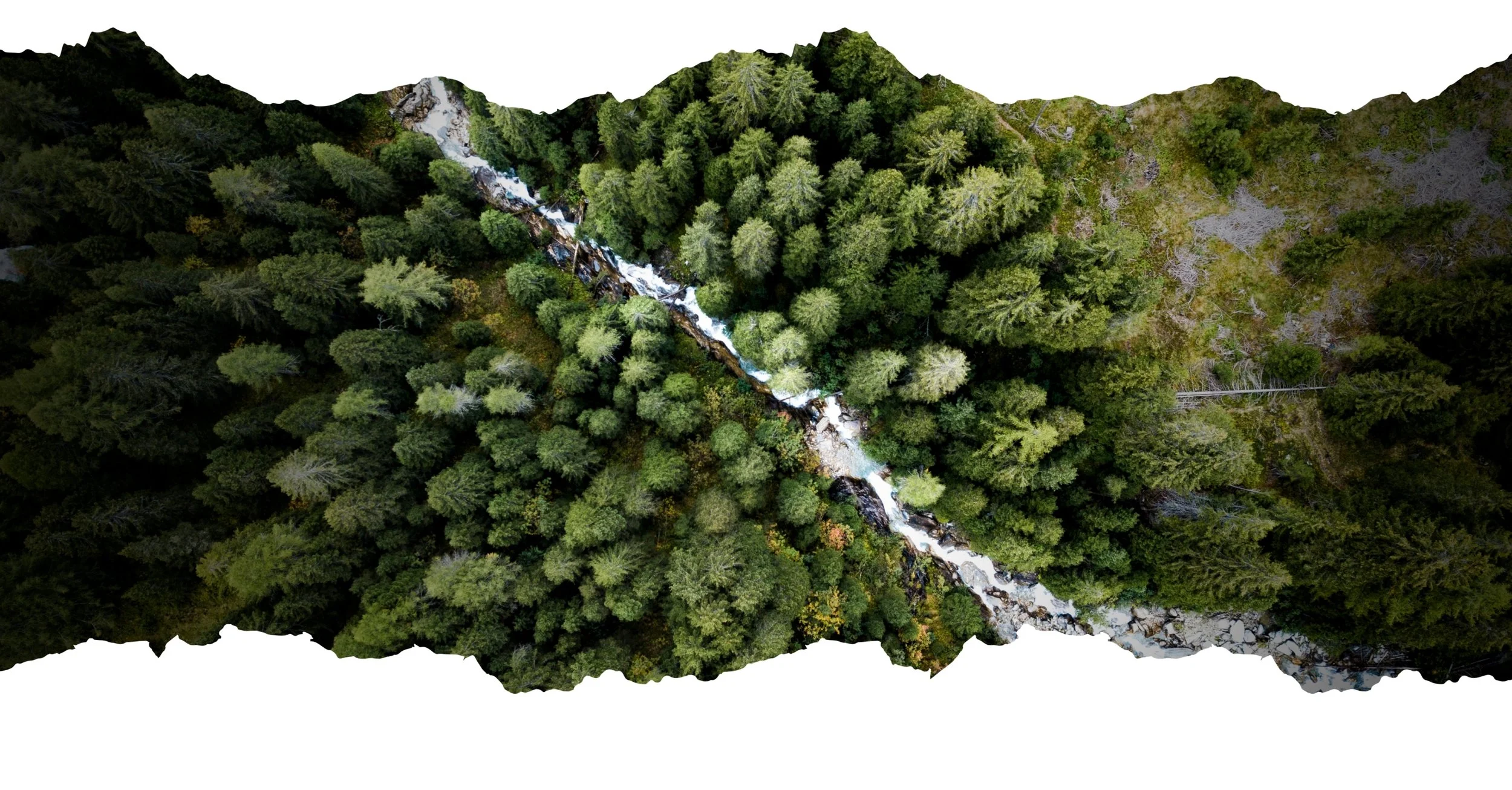 Field Reading from COP - November 15, 2025