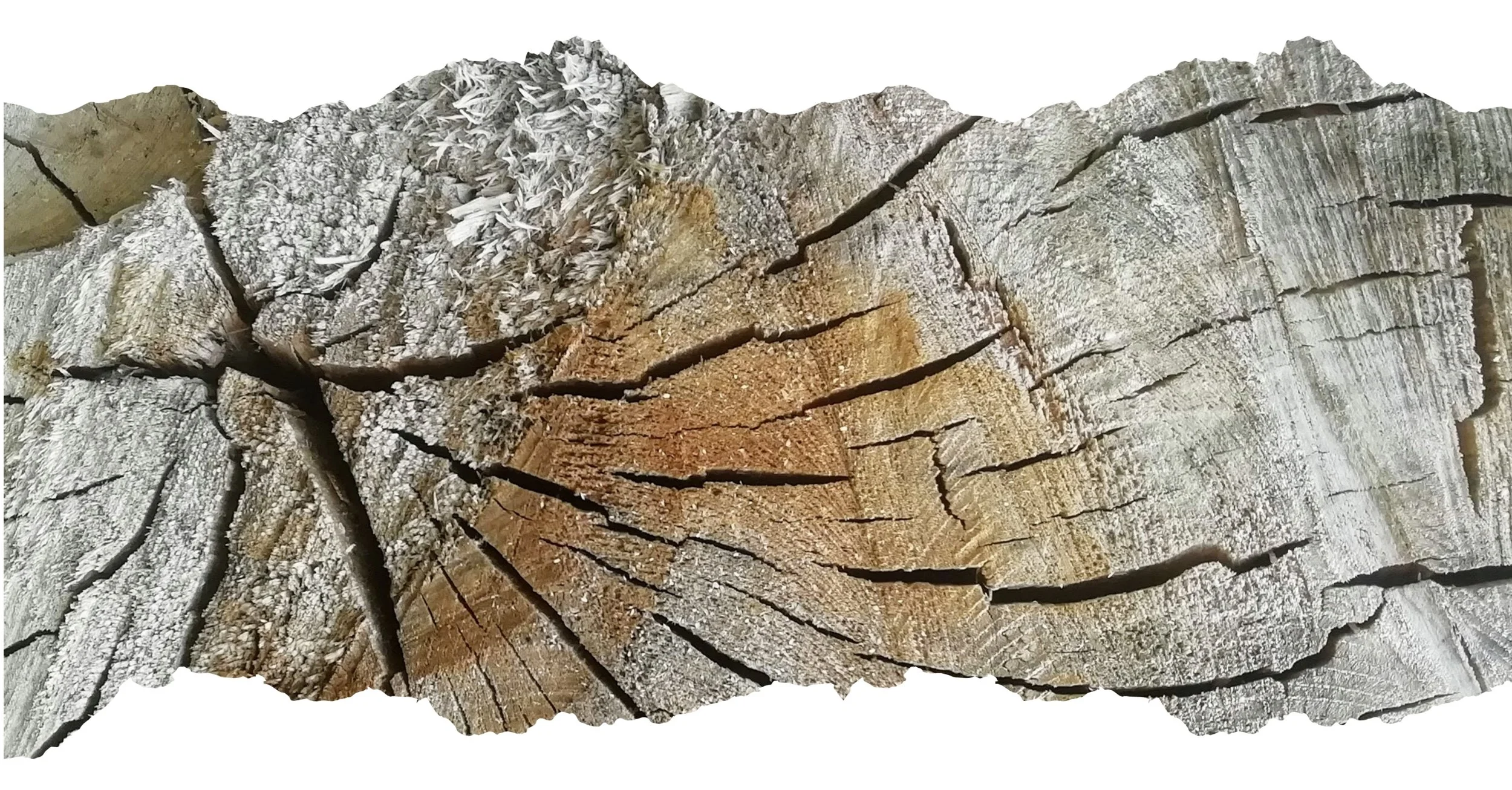 Field Reading from COP - November 21, 2025