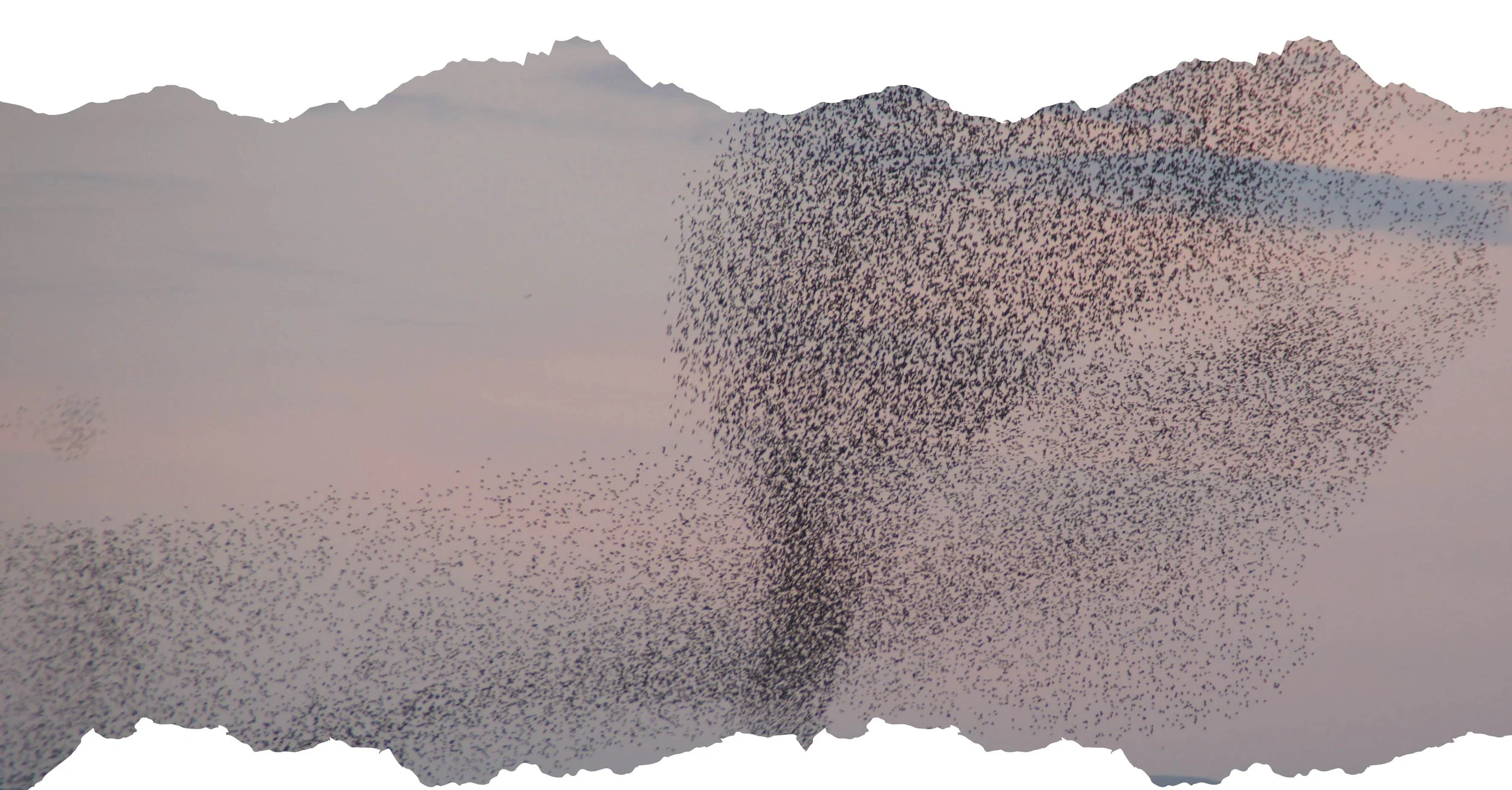 Field Reading - September 30, 2025