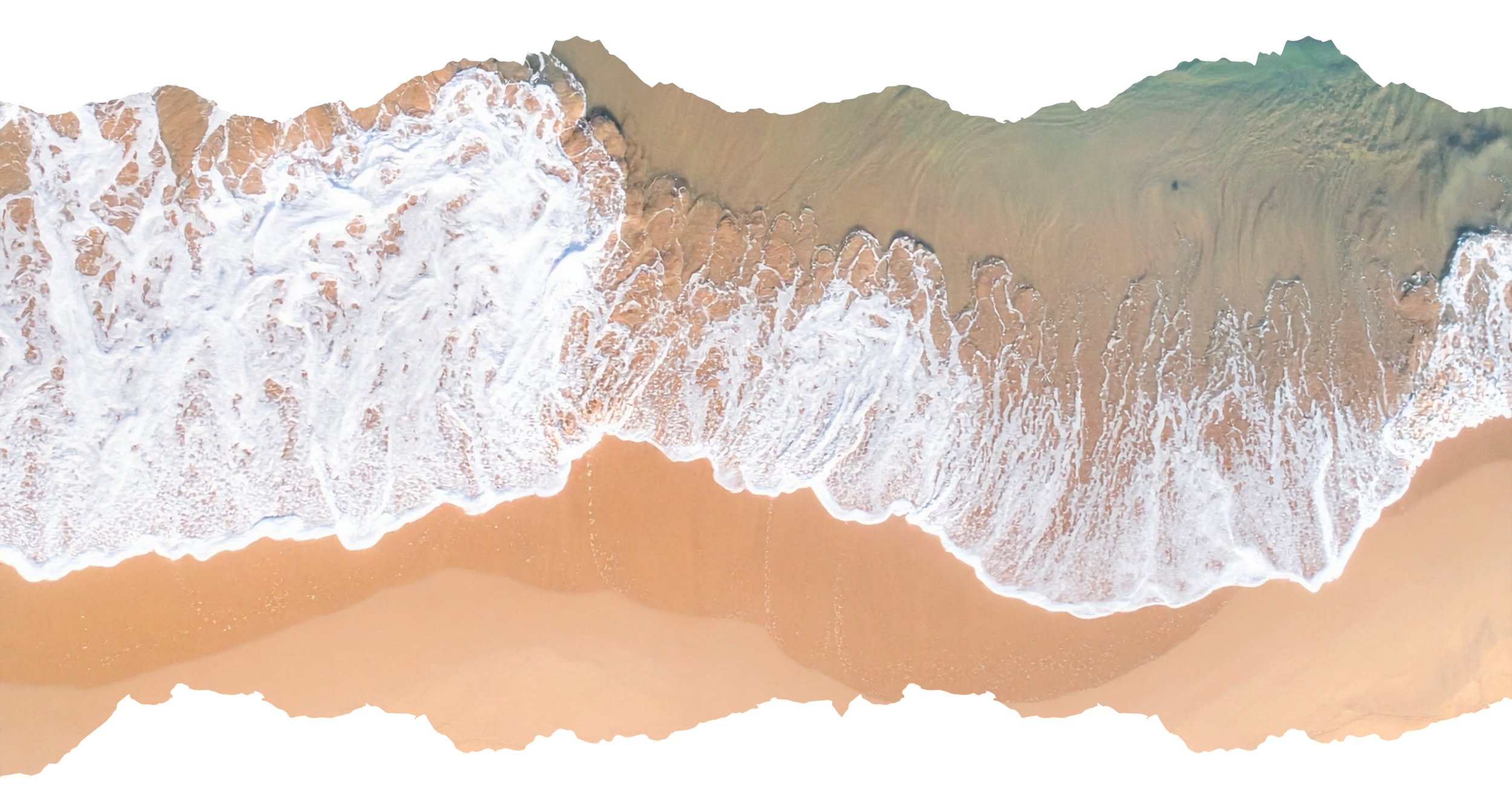 Field Reading - January 29, 2026