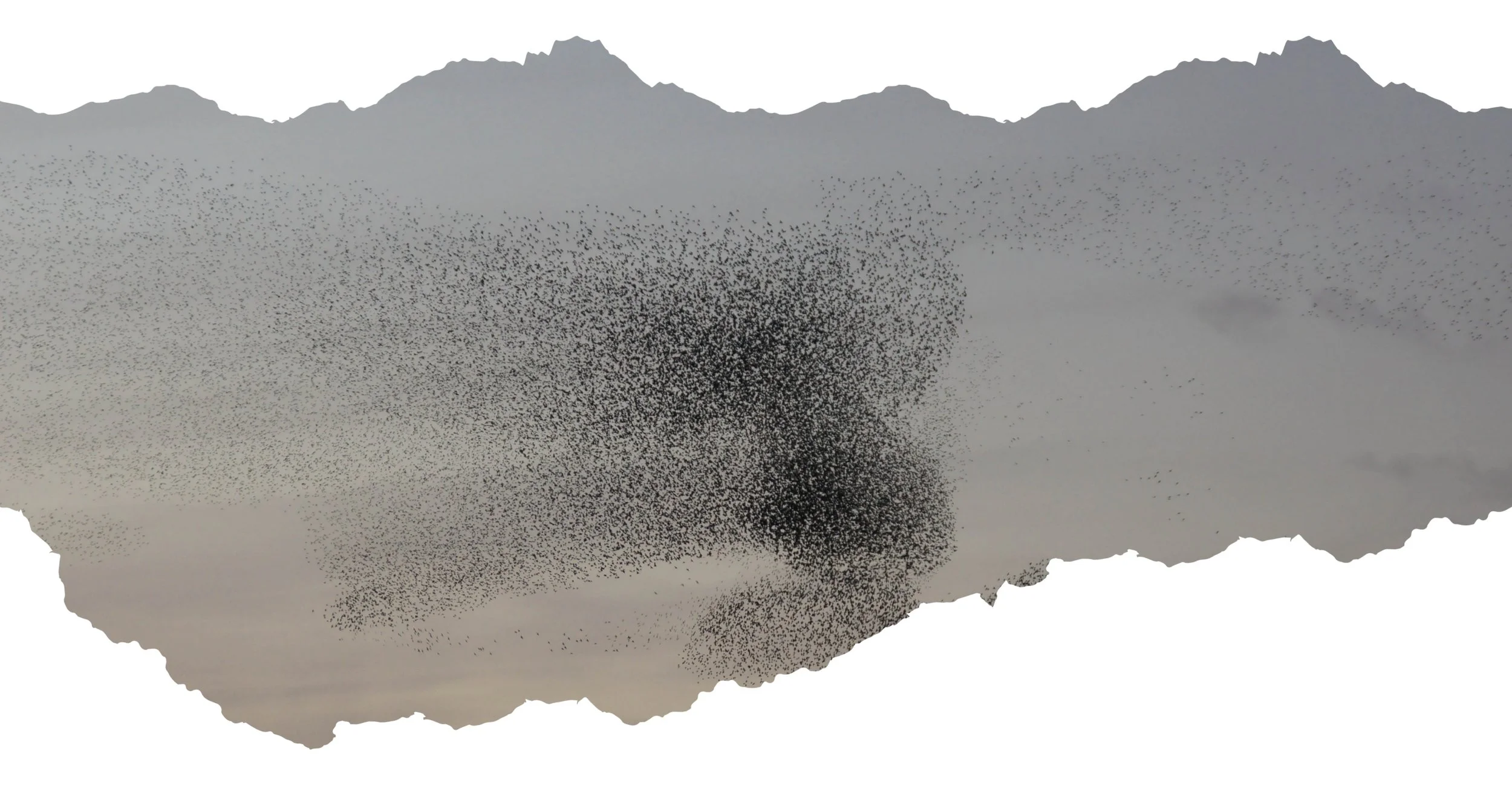 Field Reading - February 24, 2026