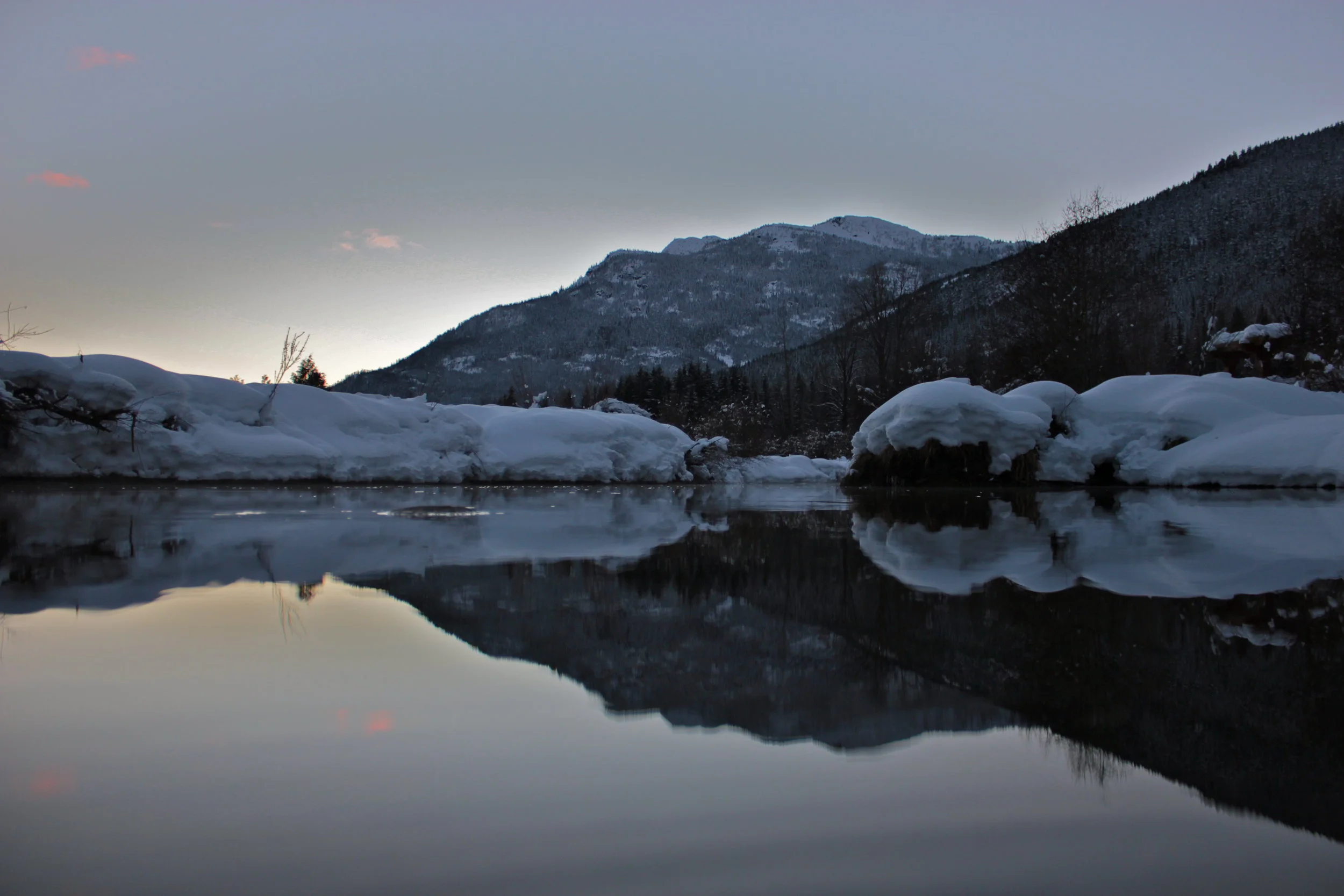 IMG_3893 copy.JPG