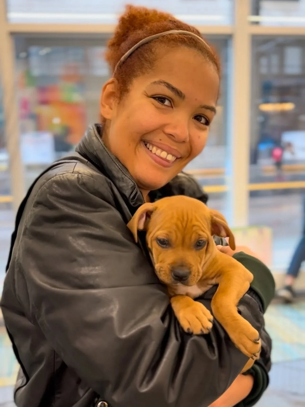 Valentine's Puppy Cuddle at Meet Minneapolis Visitor Center