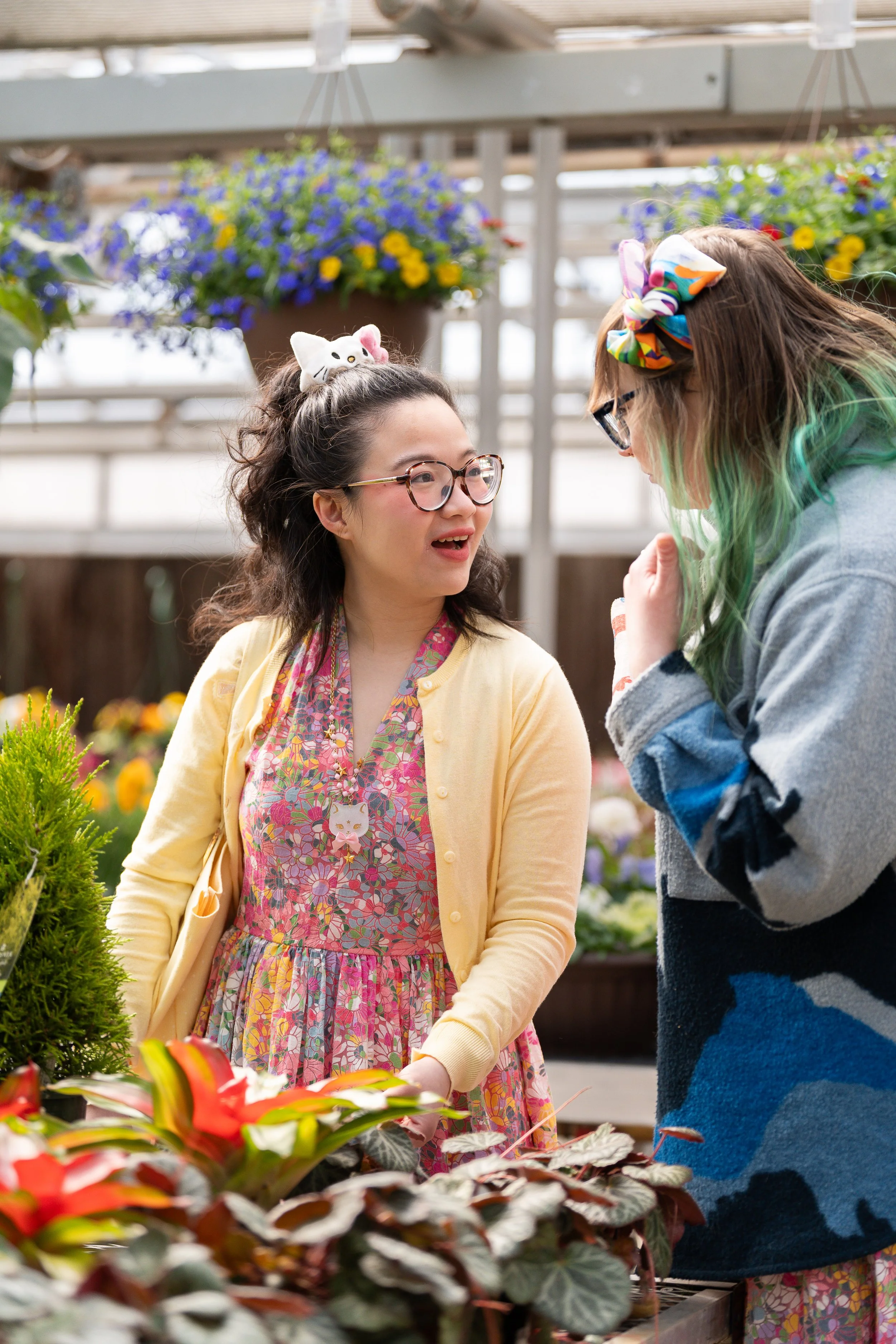 Houseplant Swap &amp; Shop