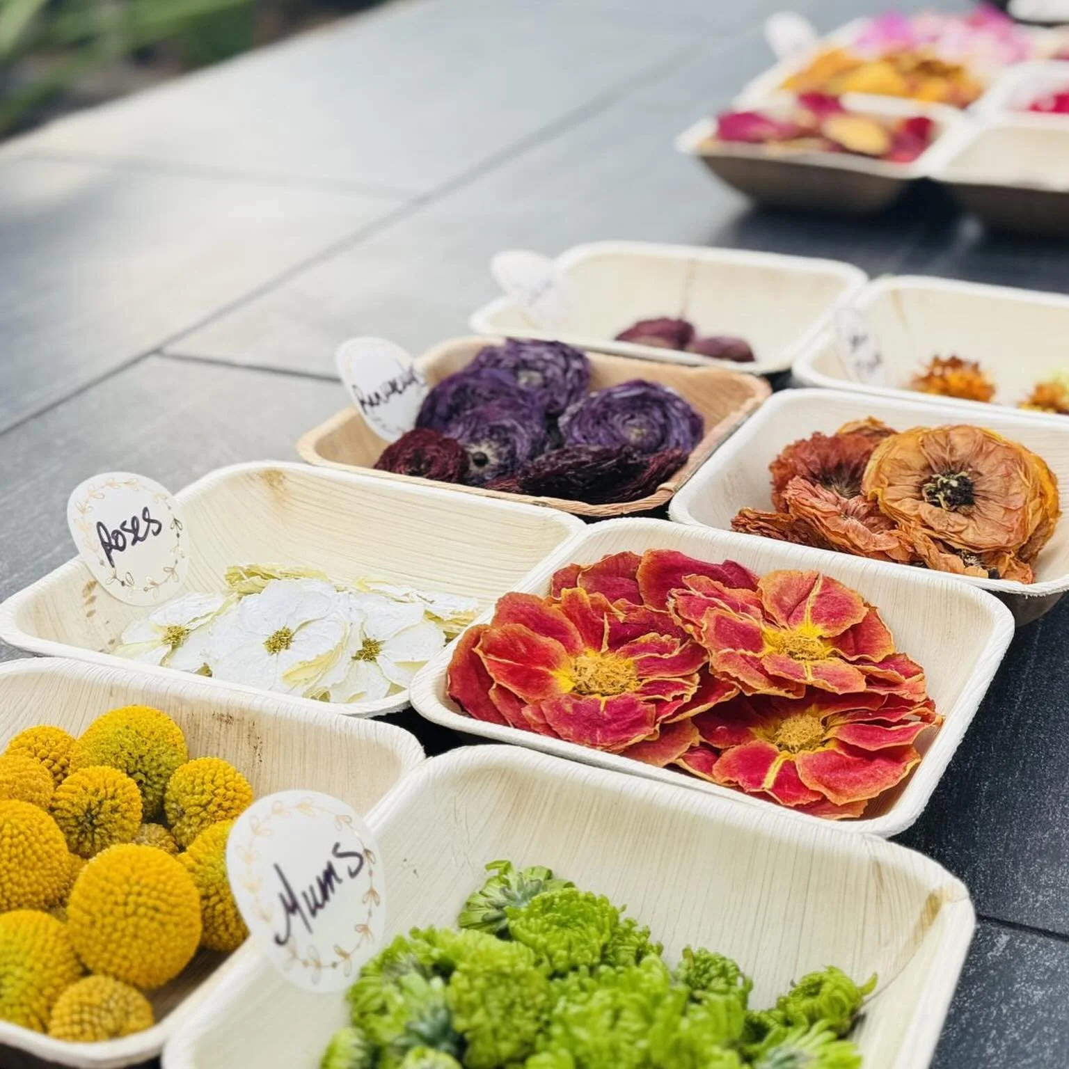 This Saturday register for 2 workshops @wagnersgardencenters during the 5th Annual Houseplant 🌿Swap &amp; Shop: 

🌻Nature Mandala Making Workshop🌻

⏰11:00 AM - 12:00 PM
🎟️$65.00

In this workshop, participants will learn how to make their own man