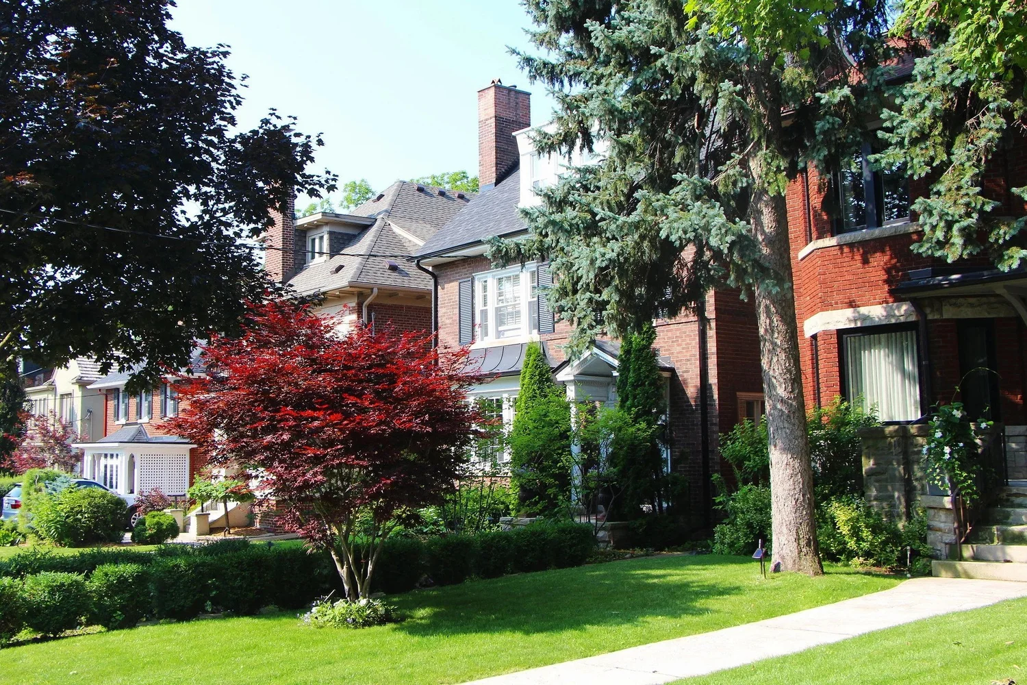 Homes on a tree-lined street in Wychwood, Toronto