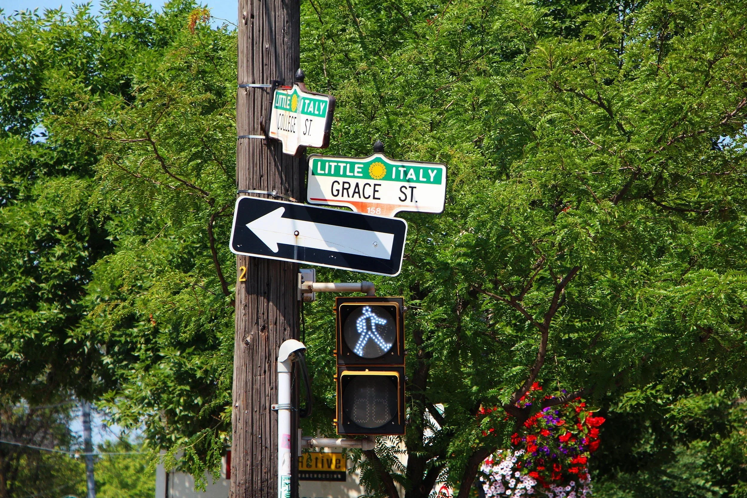 Palmerston Boulevard street sign among leafy trees in Little Italy, Toronto