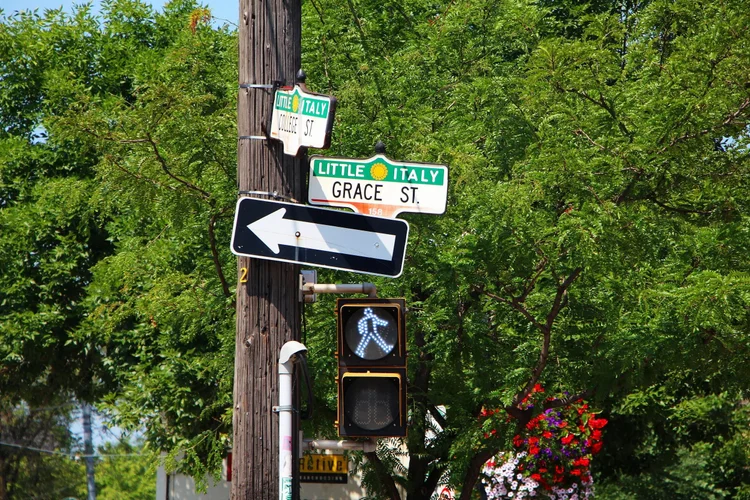Little Italy street signs on College Street