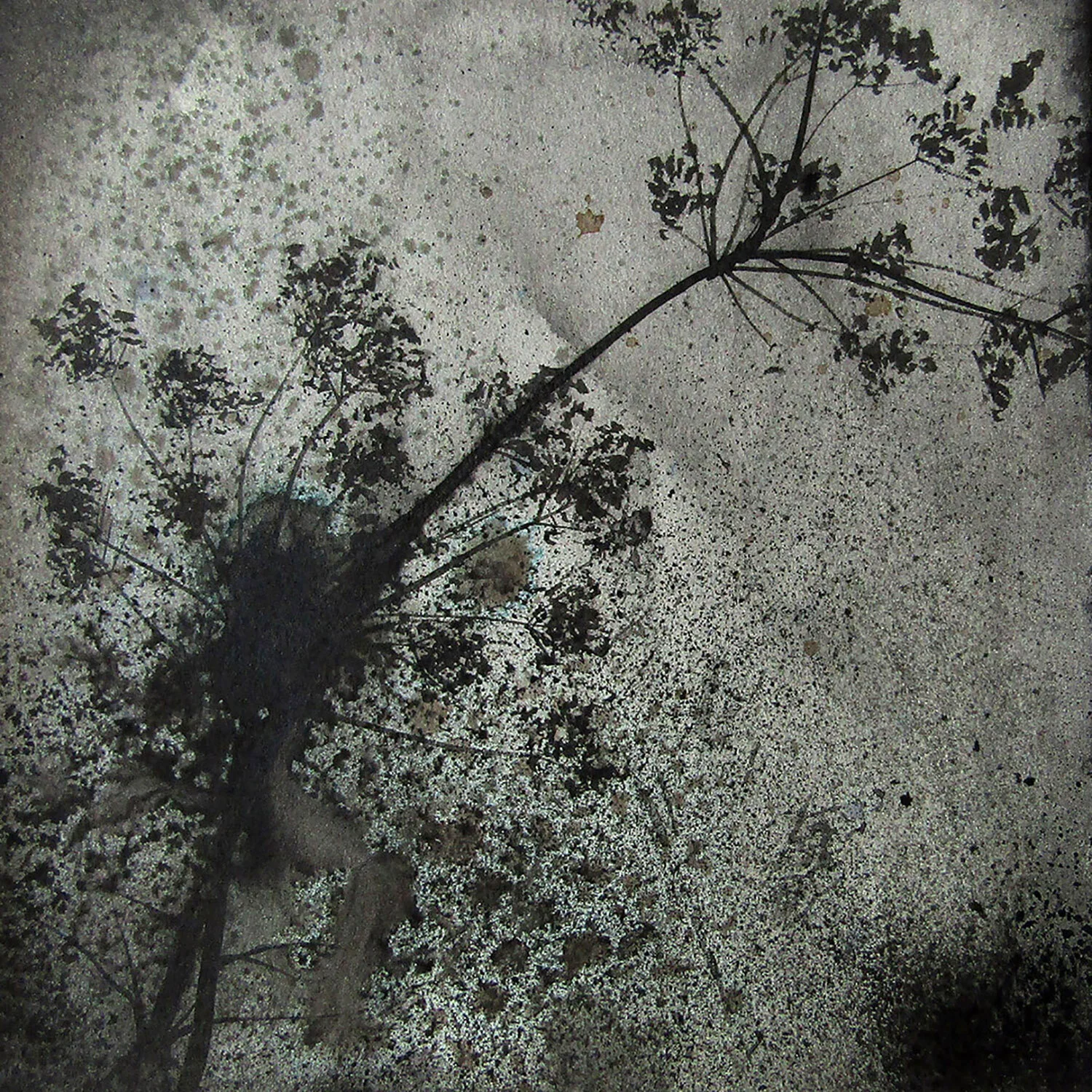 flora iv / 20x20cm / ink on paper / 2019