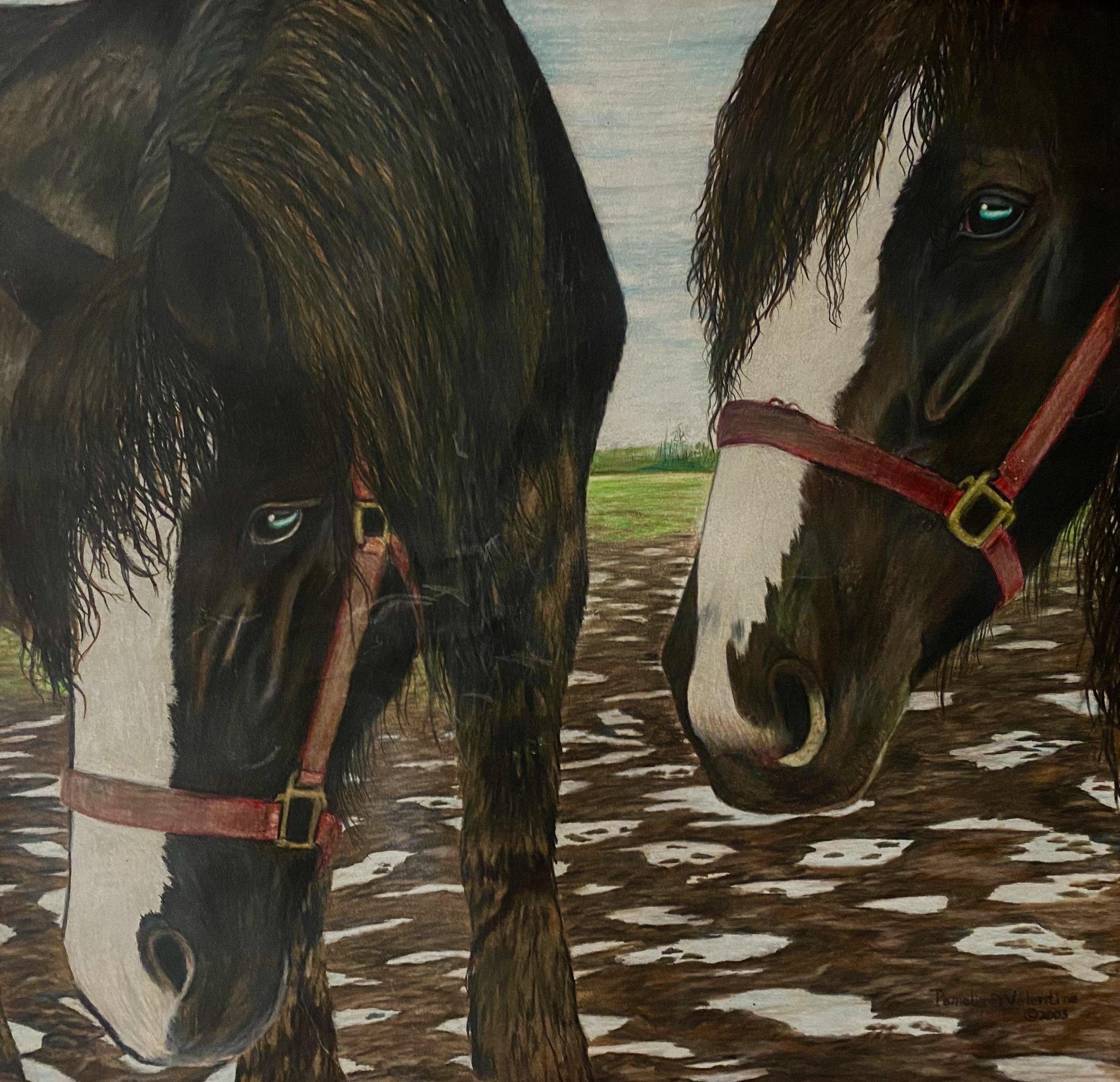 IMG_7953 Doc Mustards Clydesdales.jpg