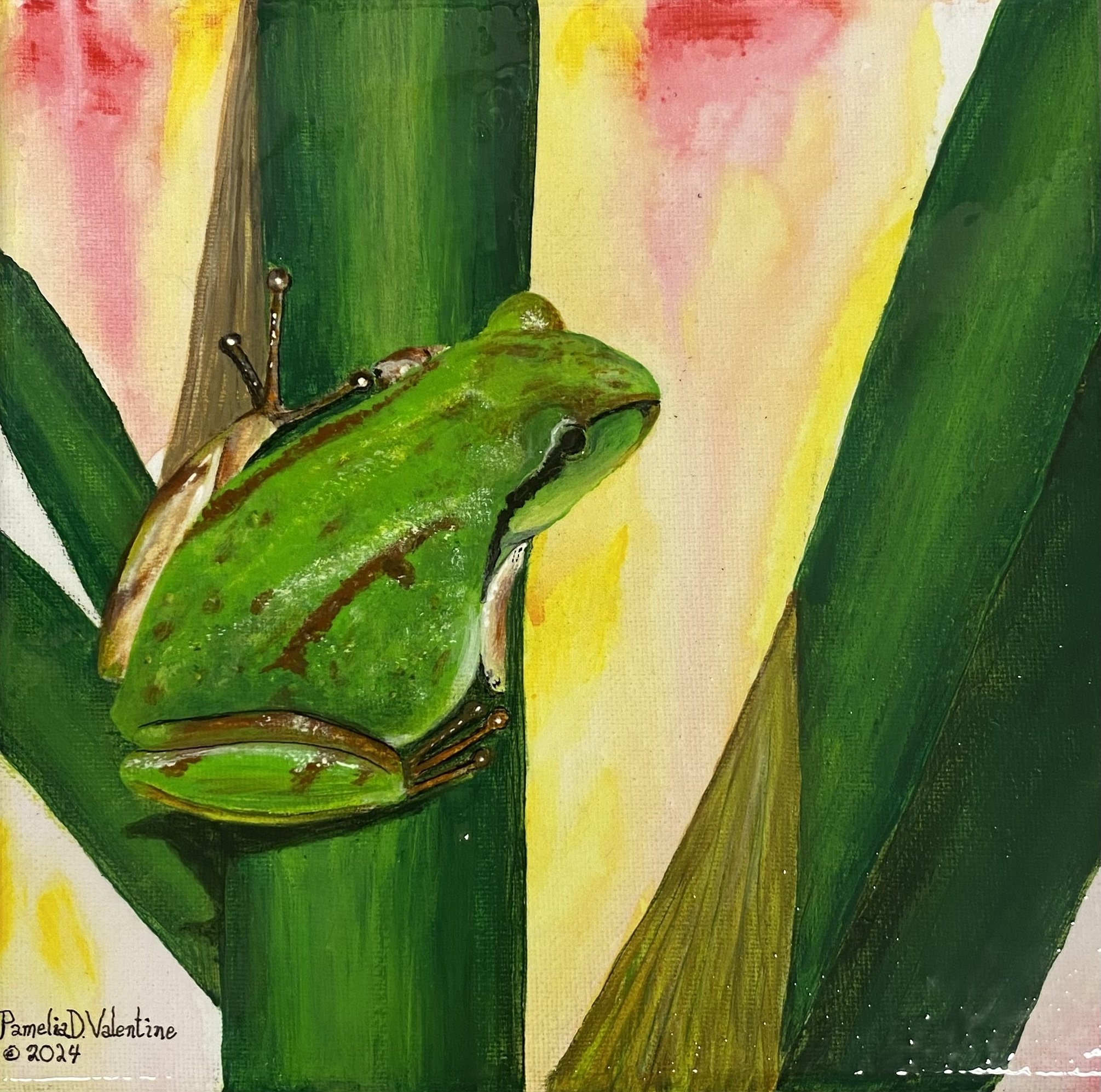 Treefrog on a reed.jpg