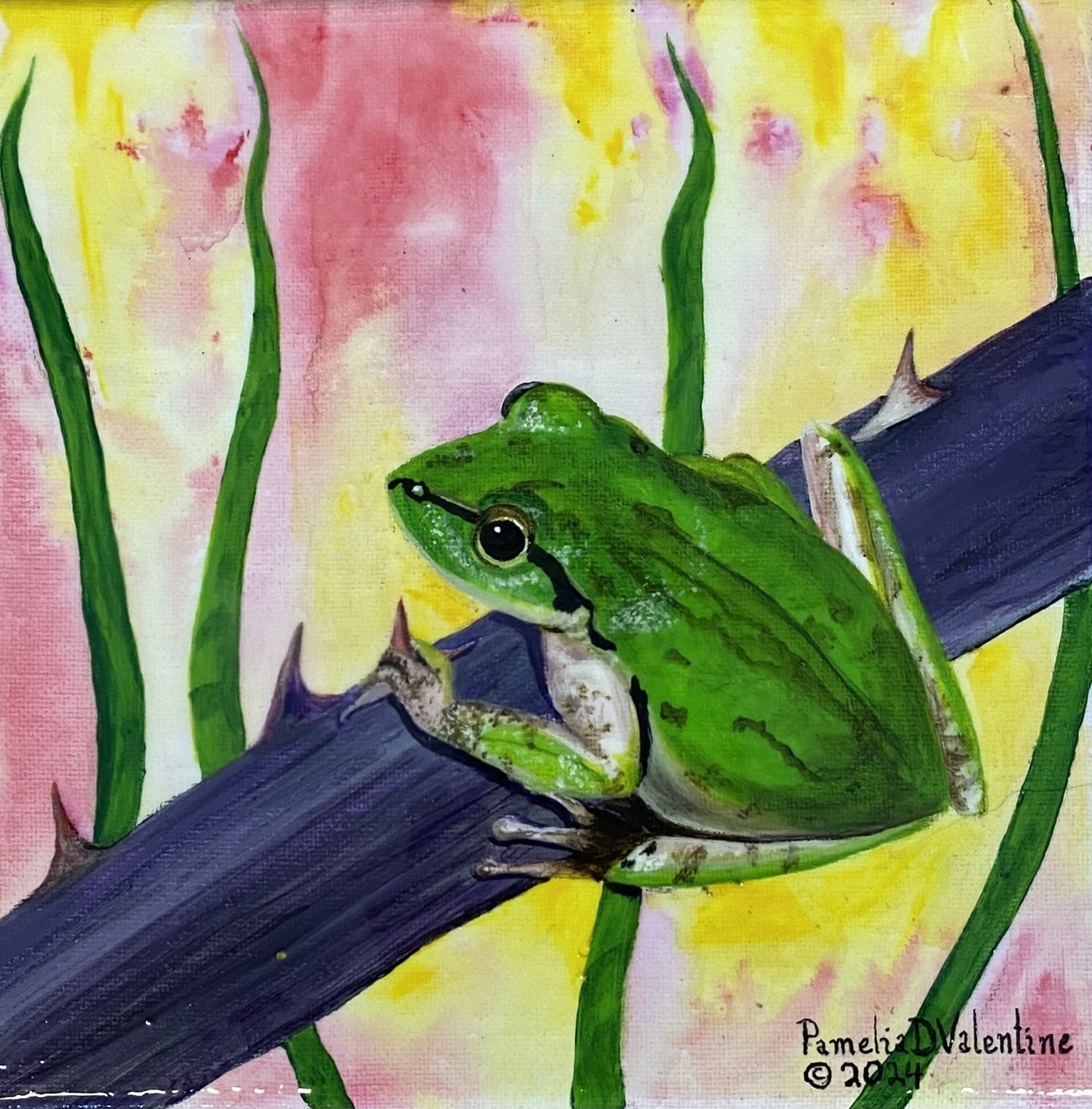 Treefrog on a berry vine.jpg