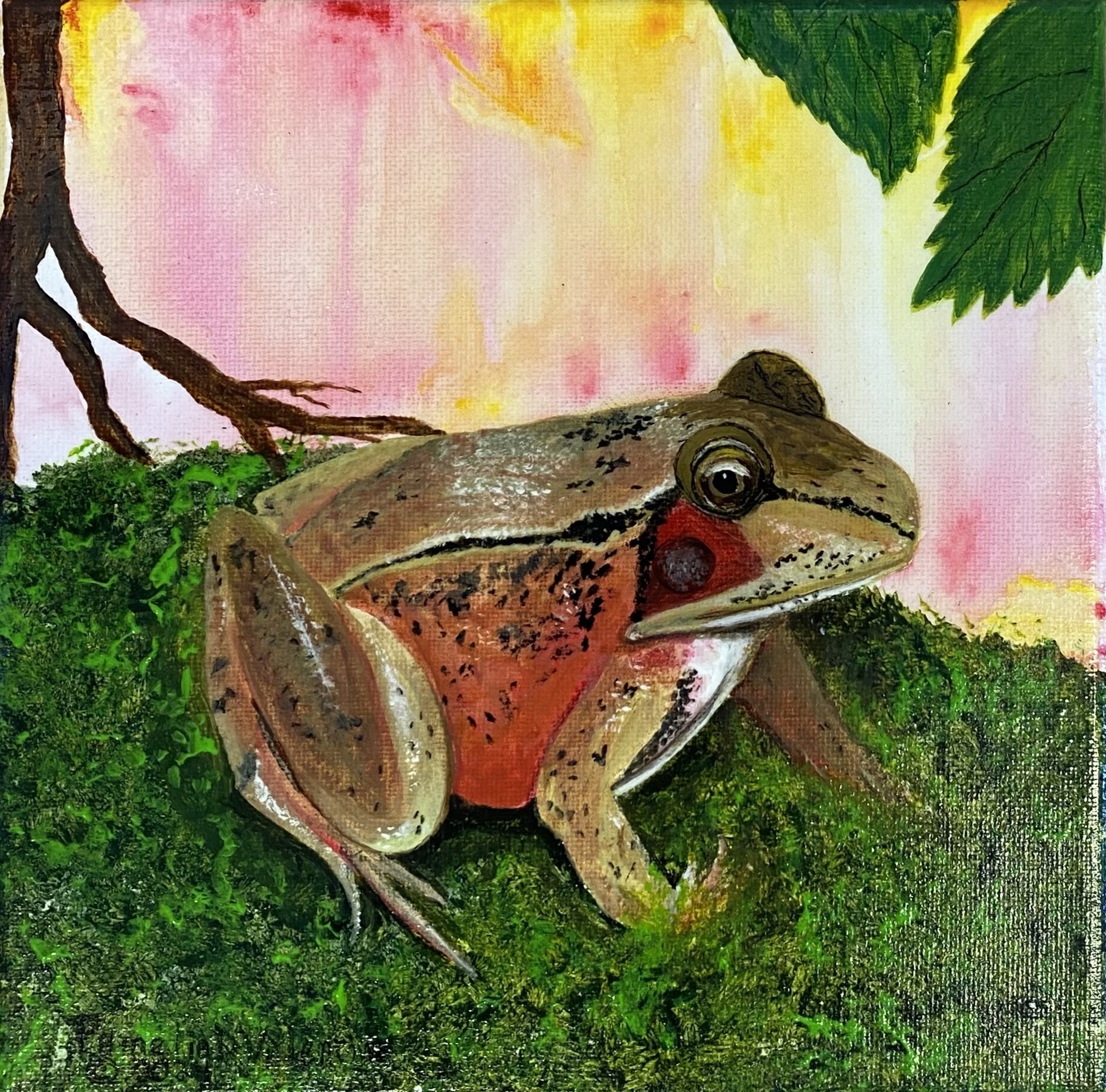 Redbelly Frog.jpg