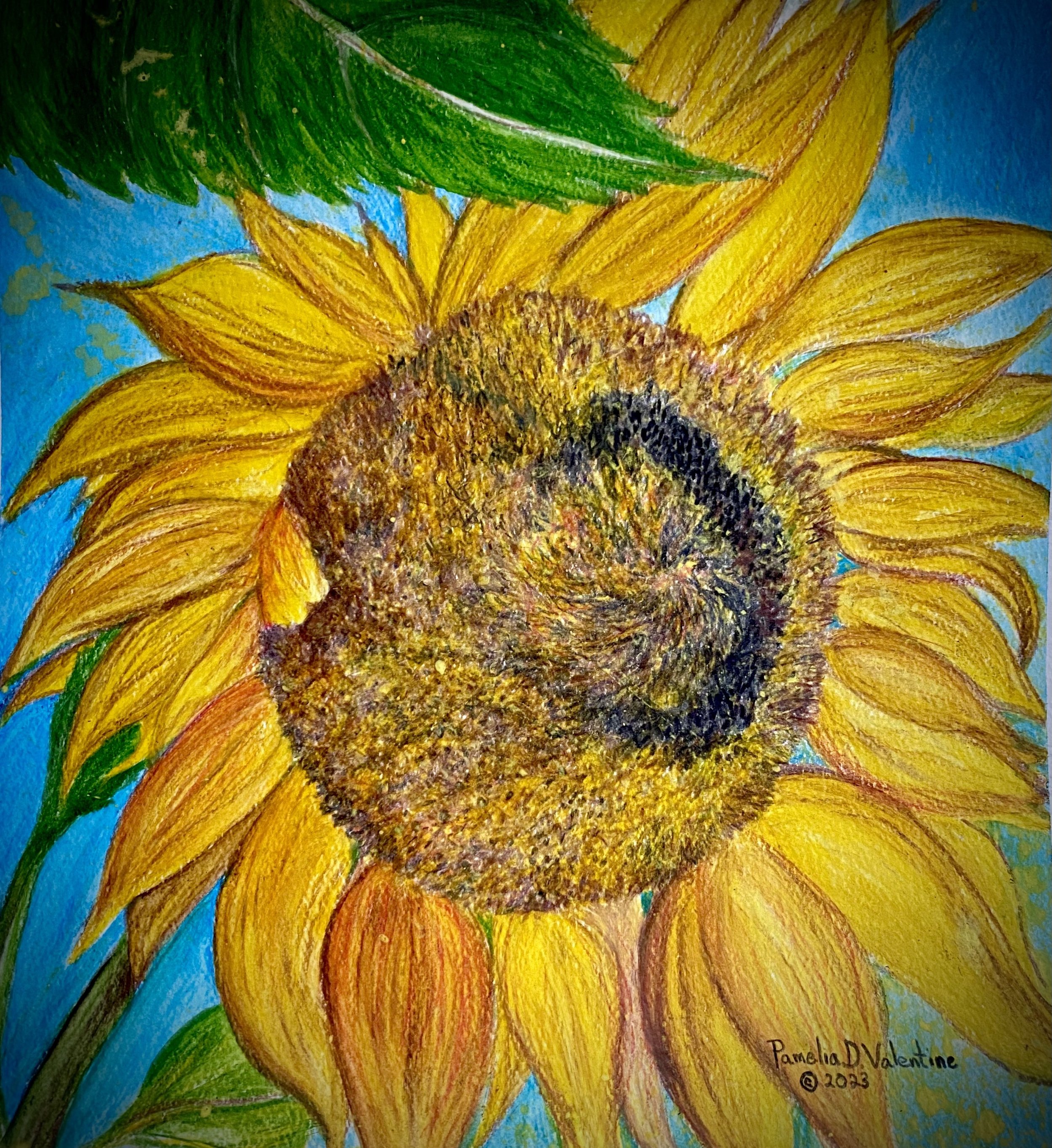 IMG_6548 Sunflower.jpg