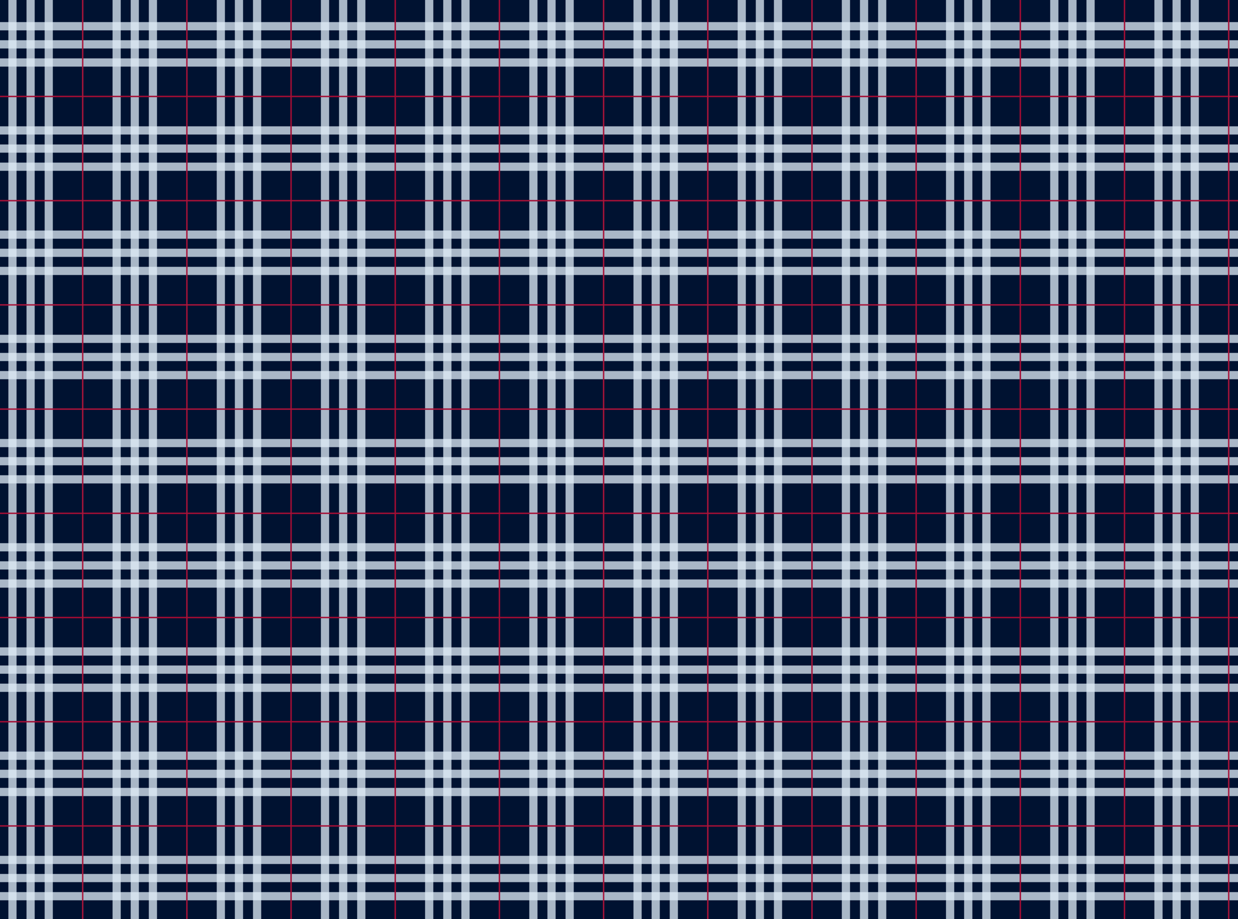 Plaid_Navy.png