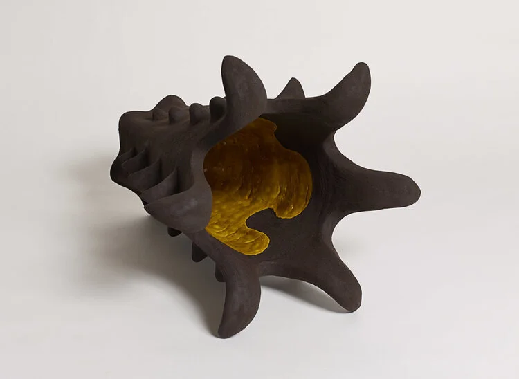 68175-8663325-Interior_mollusk_1.jpg