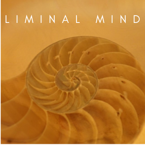 Liminal Miindset.png