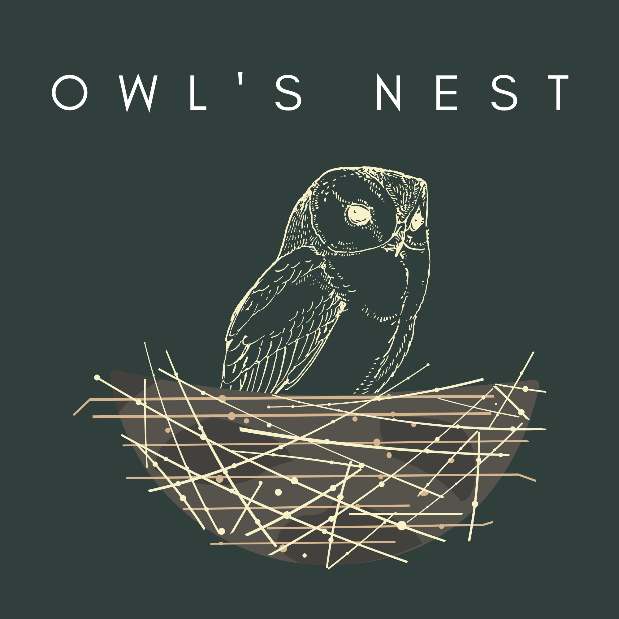 Owl's Nest Closeup.png