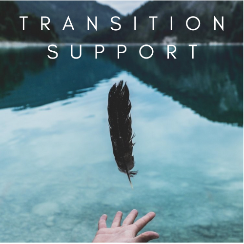 transition support.png