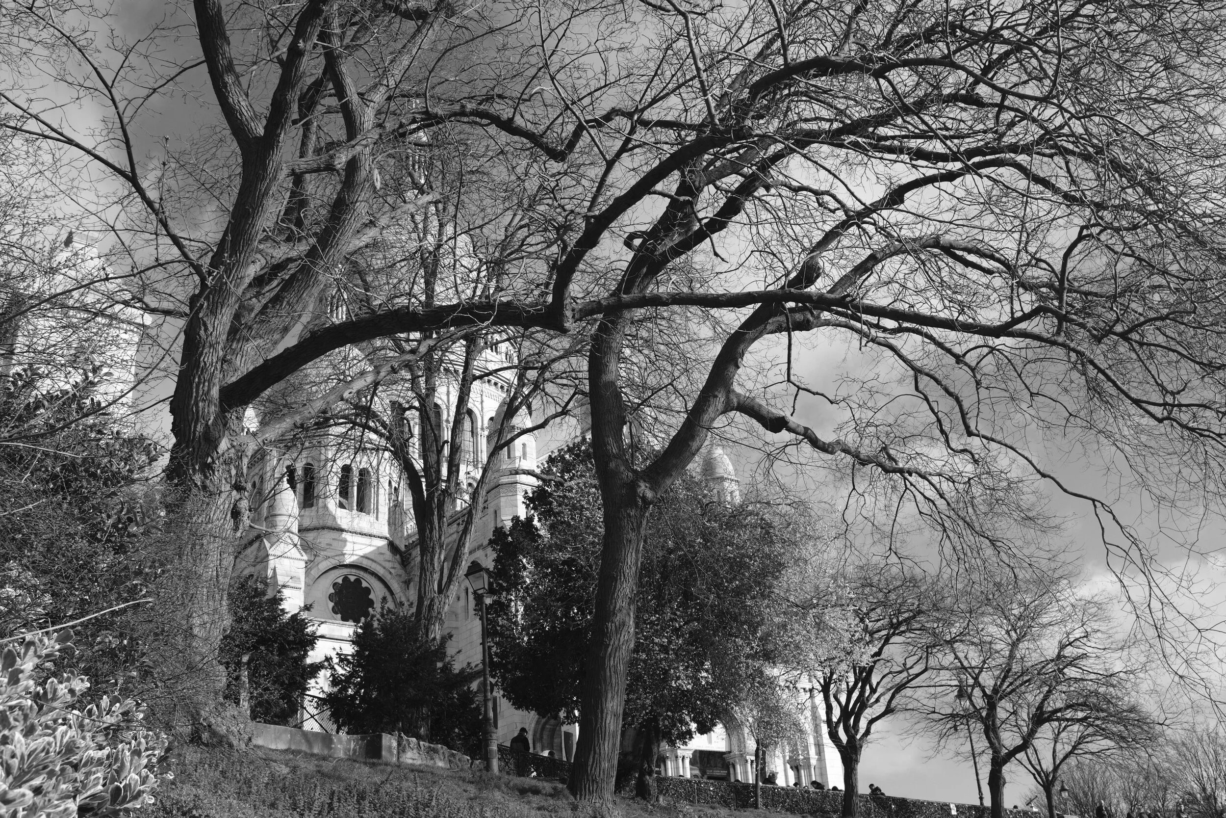 20200217.Paris.3531.jpg