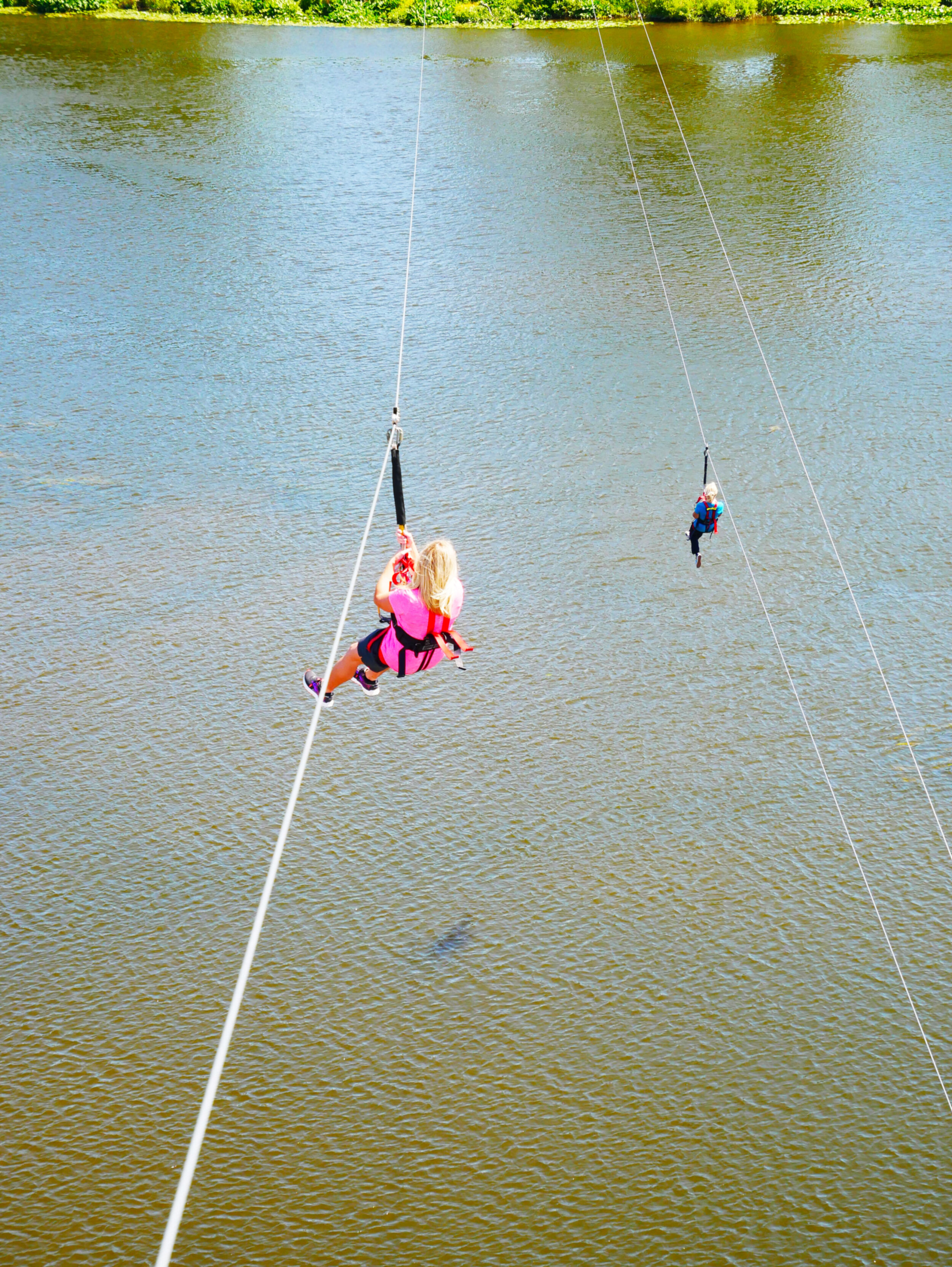 Riverfront Zip Line — Allegan Event