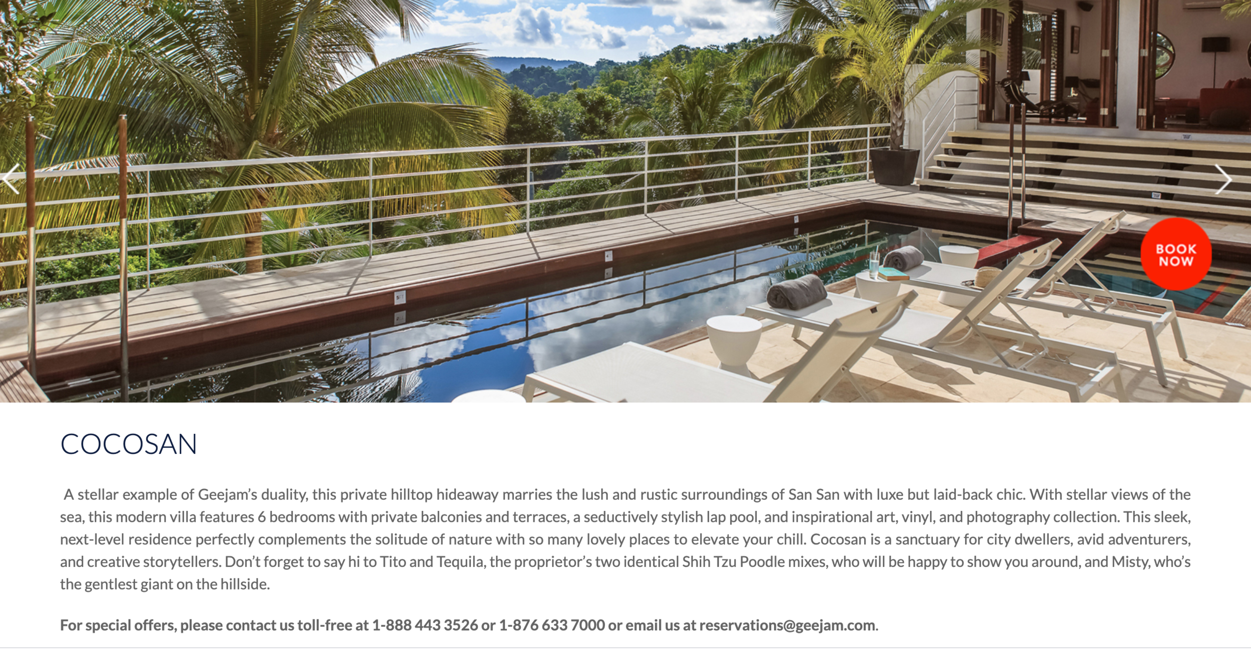 Screen Shot 2020-03-08 at 9.00.00 PM.png