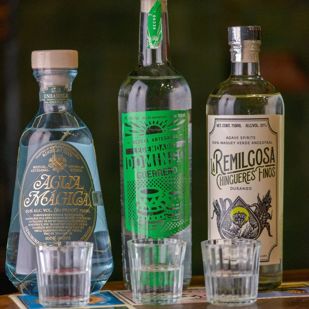 TheCactusShop_Los Pegrilosos_Web.jpg