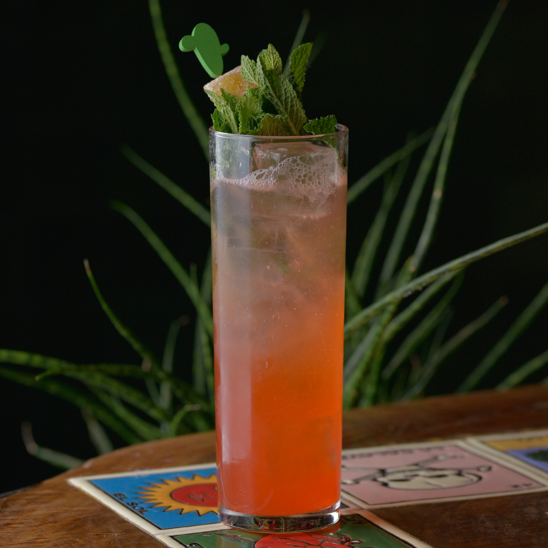 TheCactusShop_StrawberryMule.png