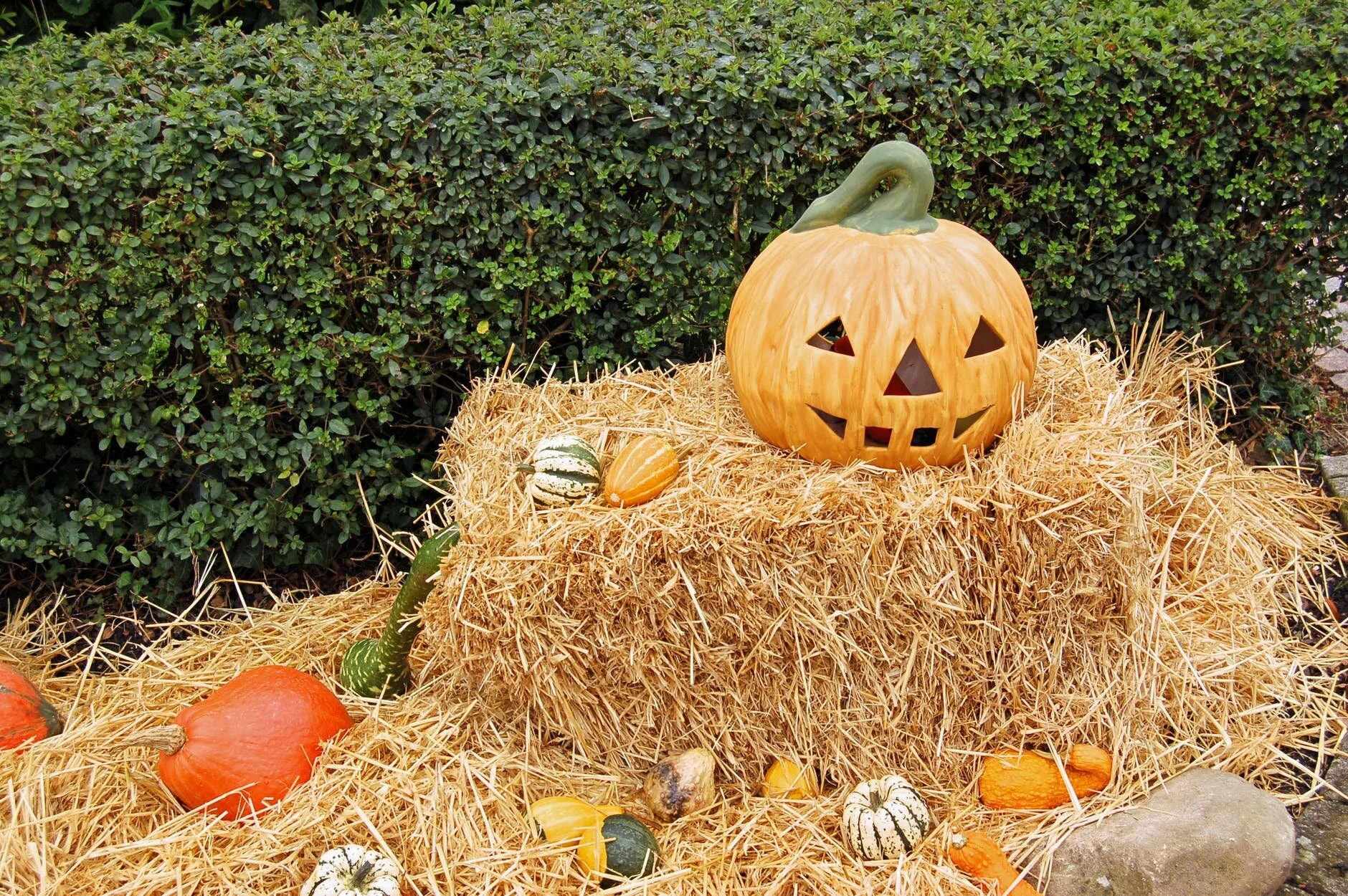 Best Pumpkin Patches, Hayrides and Farms in Central New Jersey
