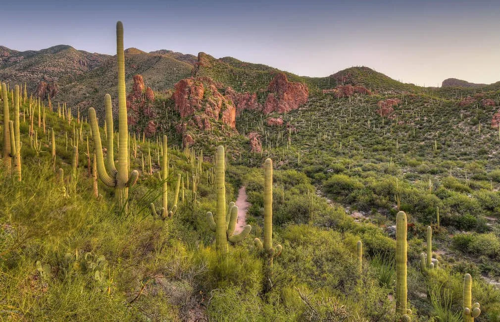 MultiMillion Dollar Luxury Homes In Tucson, Arizona Stratton Real