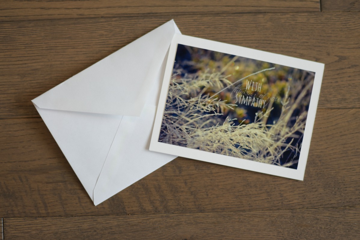 Sympathy4