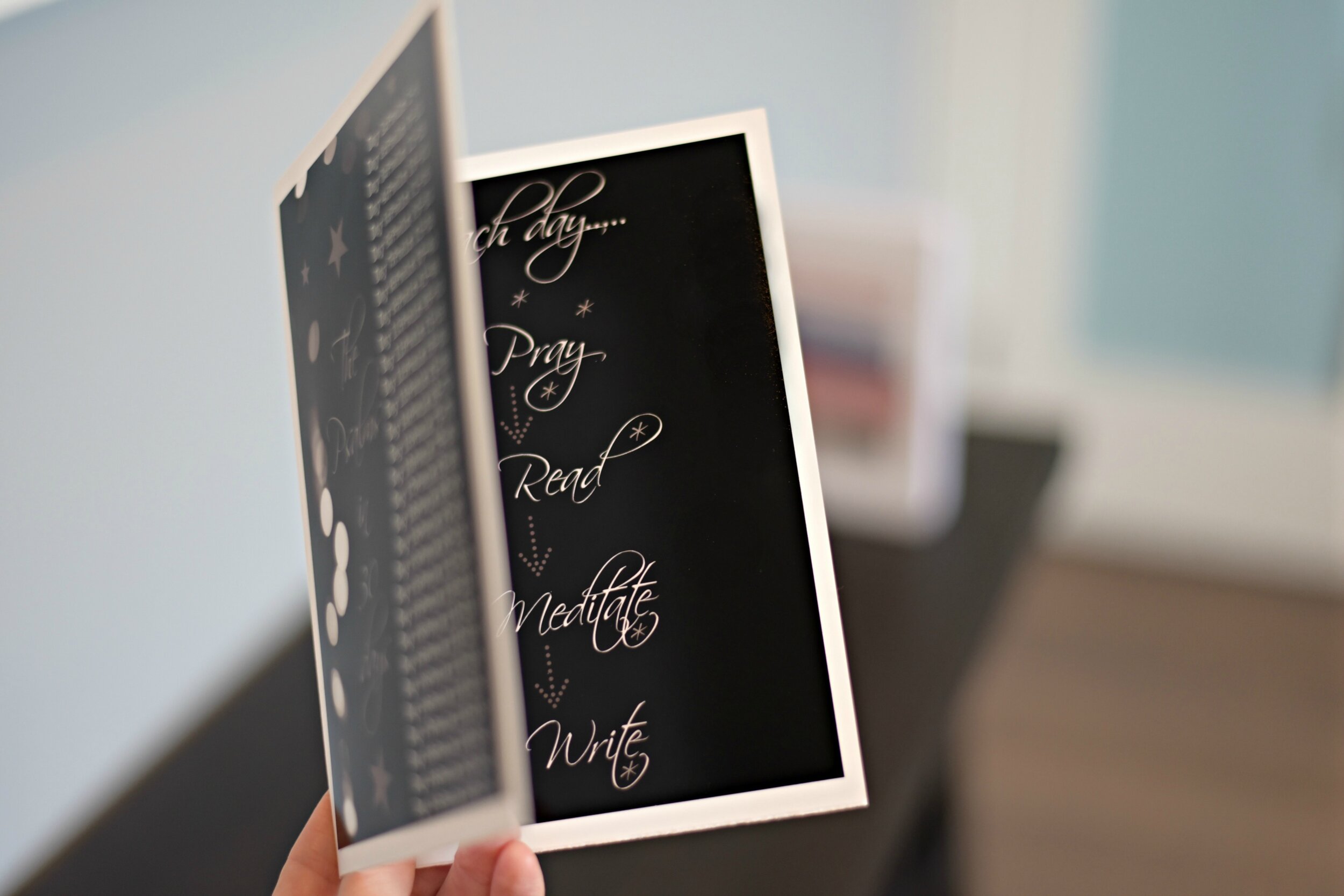 The Psalms in 30 Days {journal included}