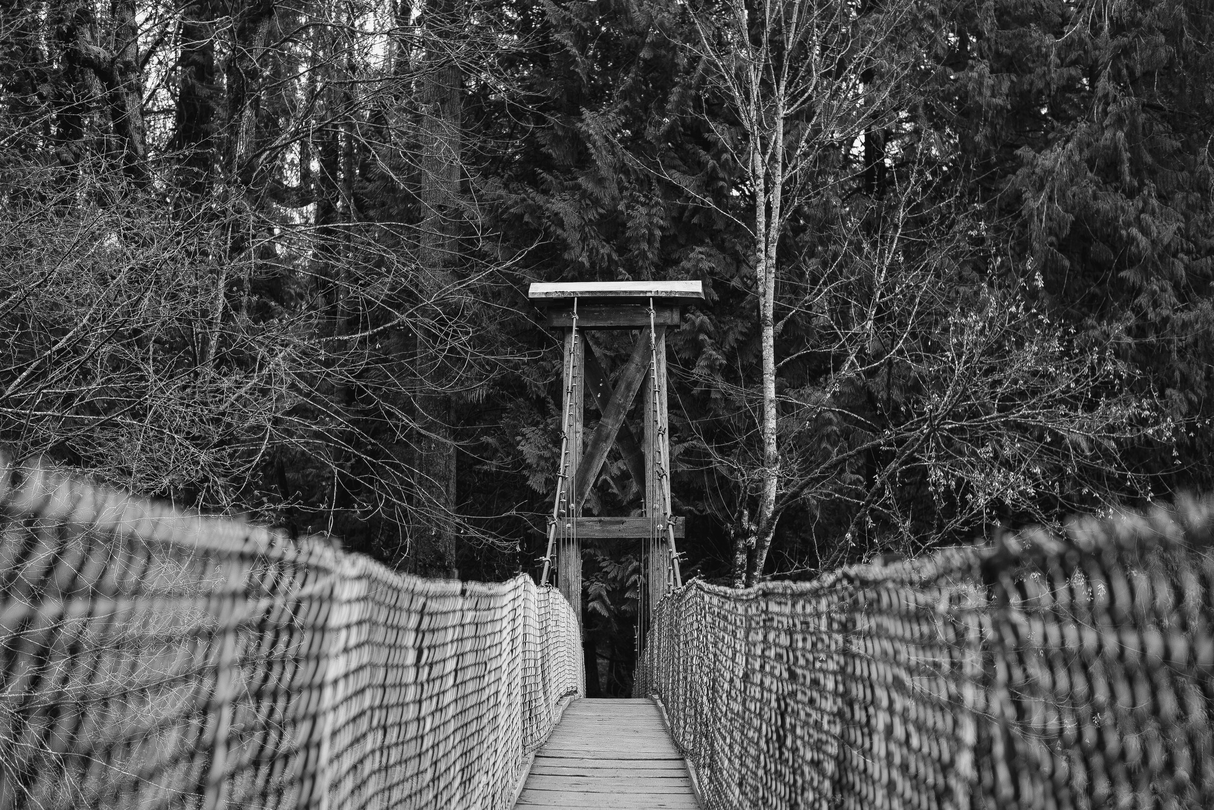Bright Angel Park, Vancouver Island, British Columbia