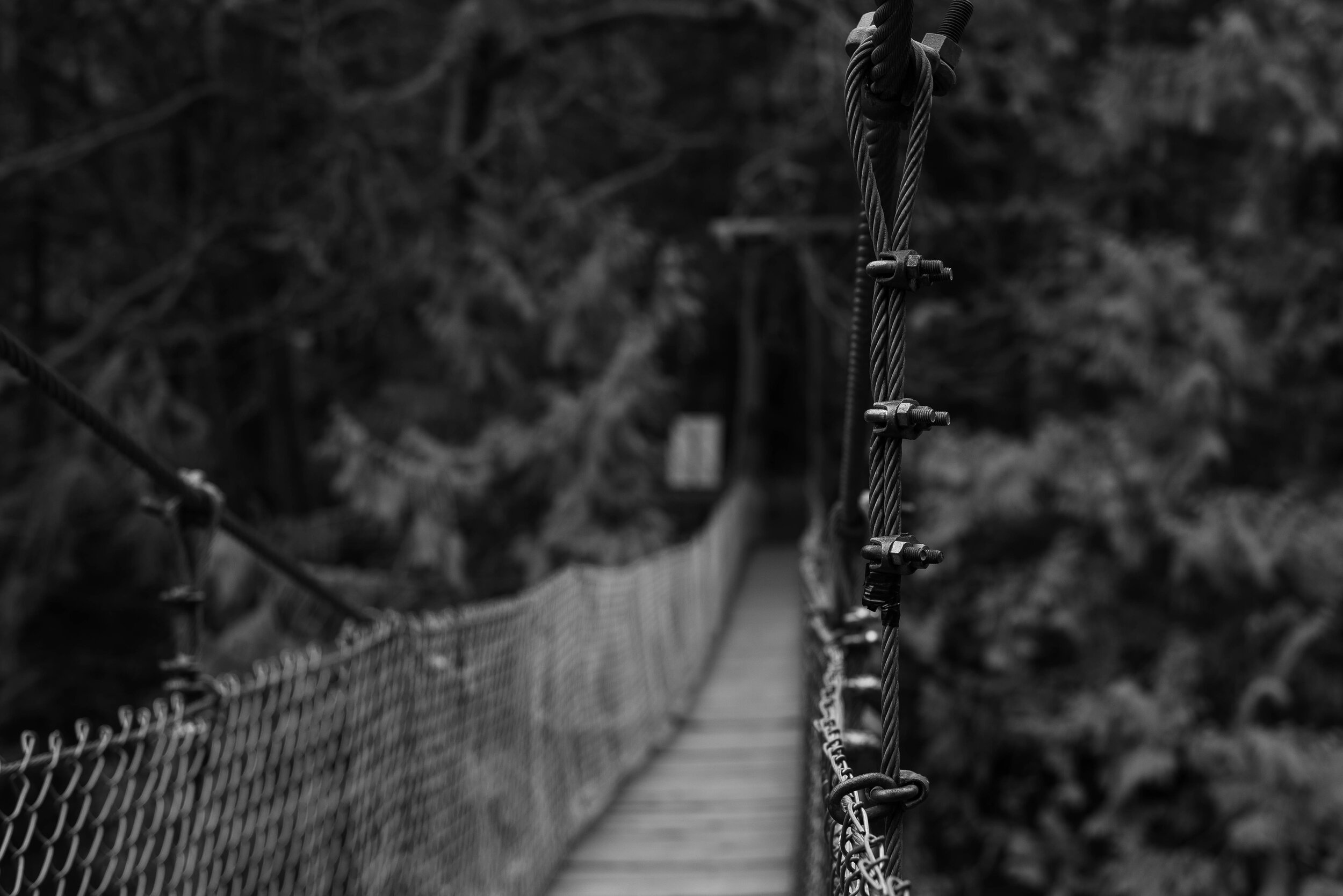 Bright Angel Park, Vancouver Island, British Columbia