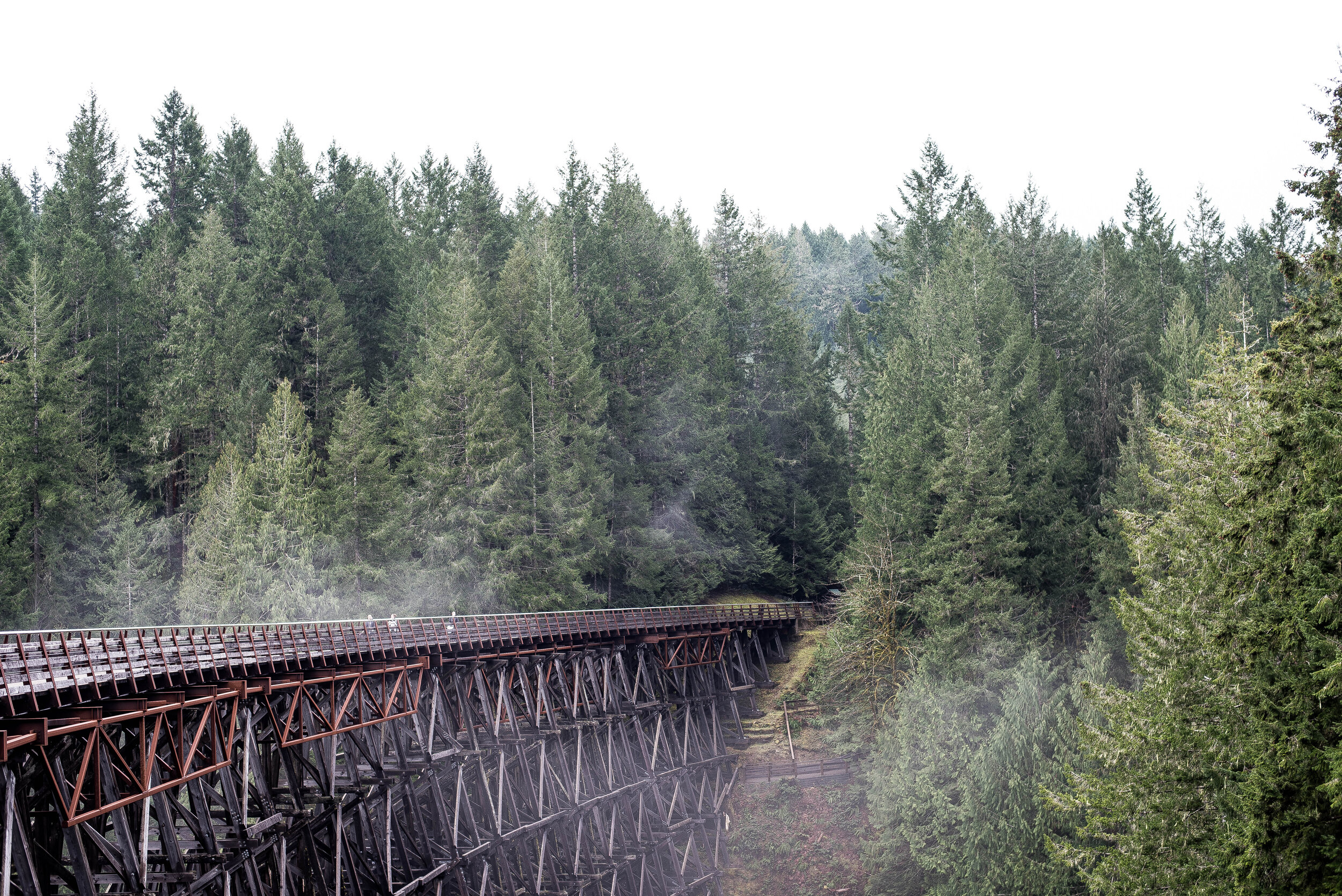 Kinsol Trestle, Vancouver Island, British Columbia