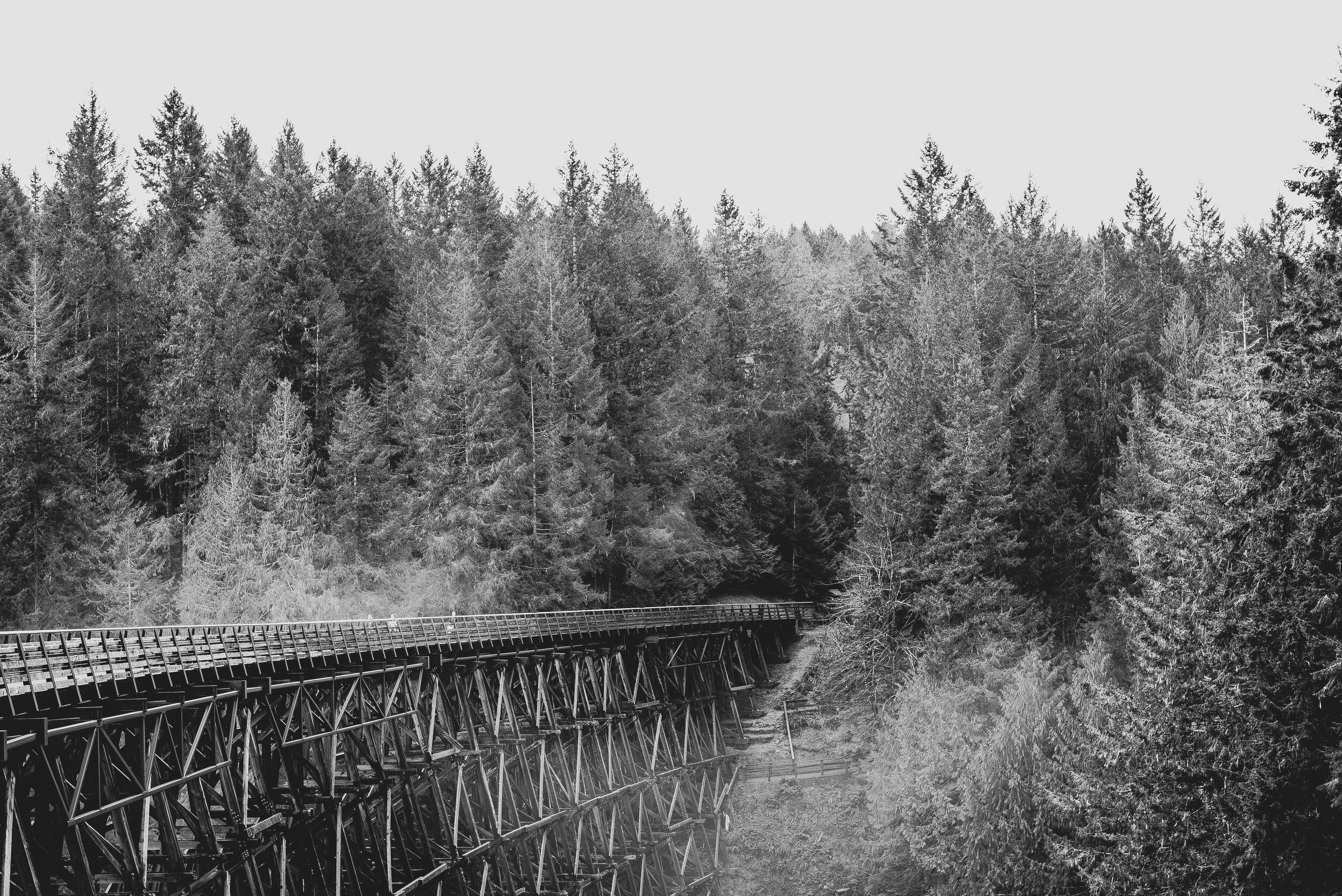 Kinsol Trestle, Vancouver Island, British Columbia