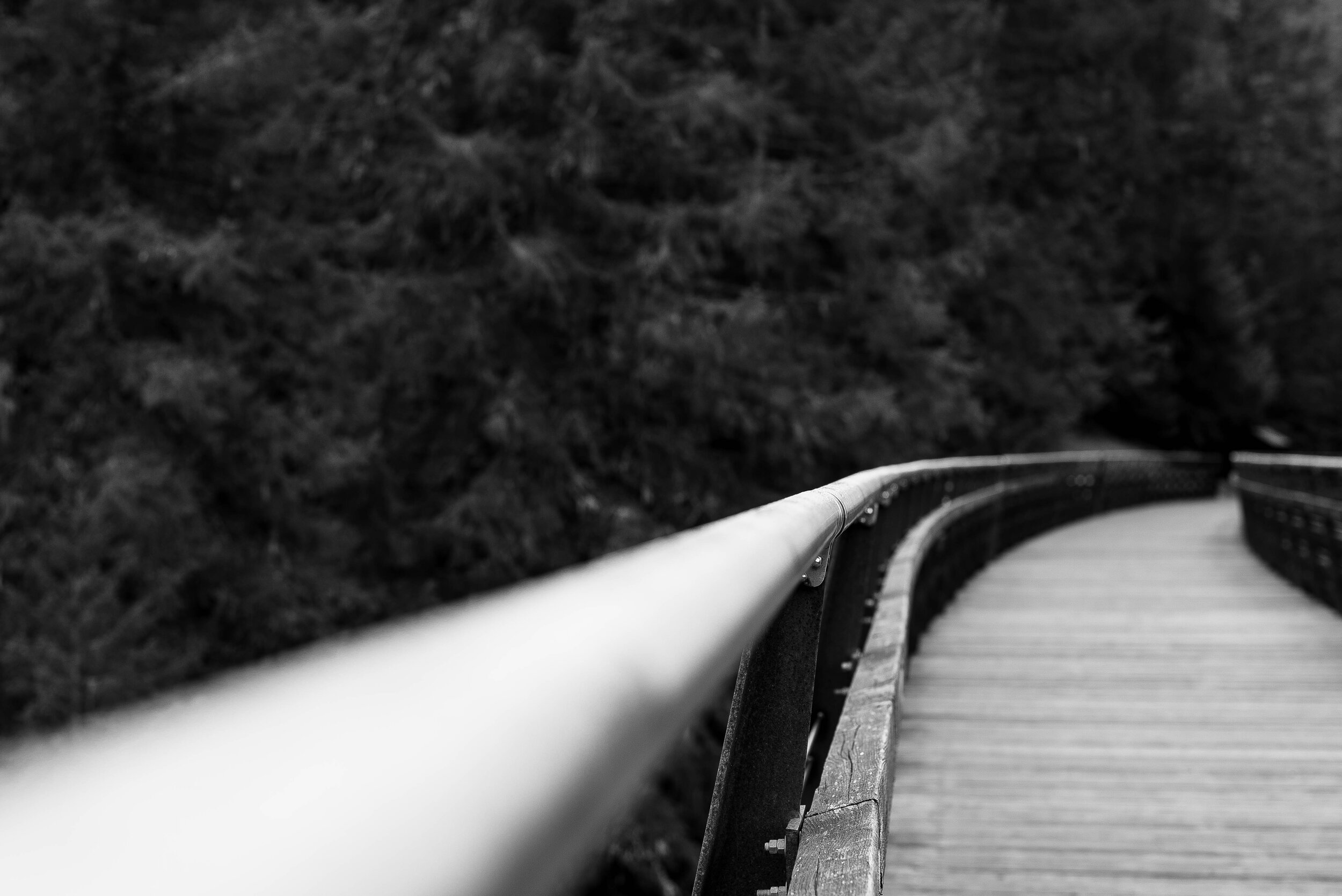 Kinsol Trestle, Vancouver Island, British Columbia