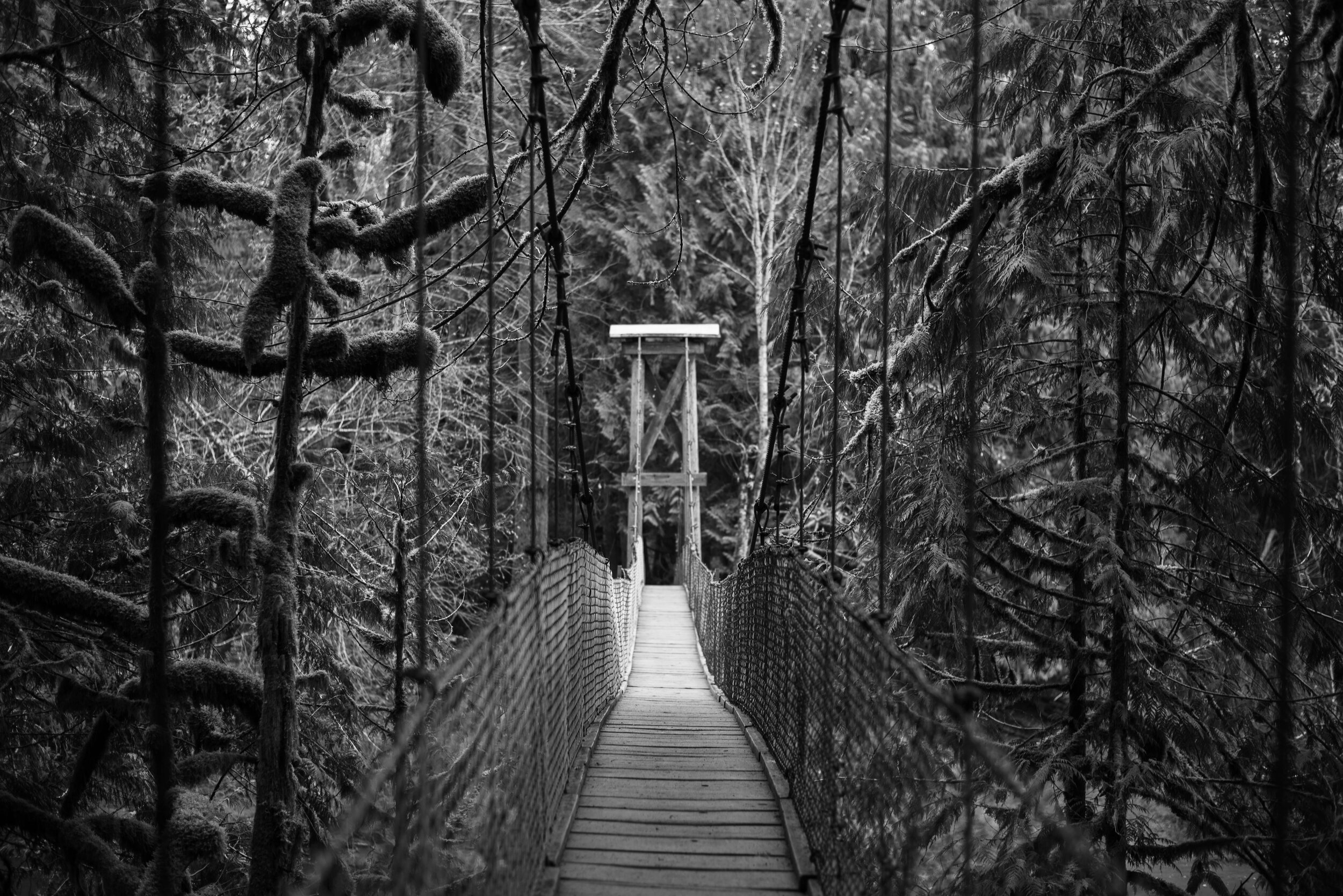 Bright Angel Park, Vancouver Island, British Columbia