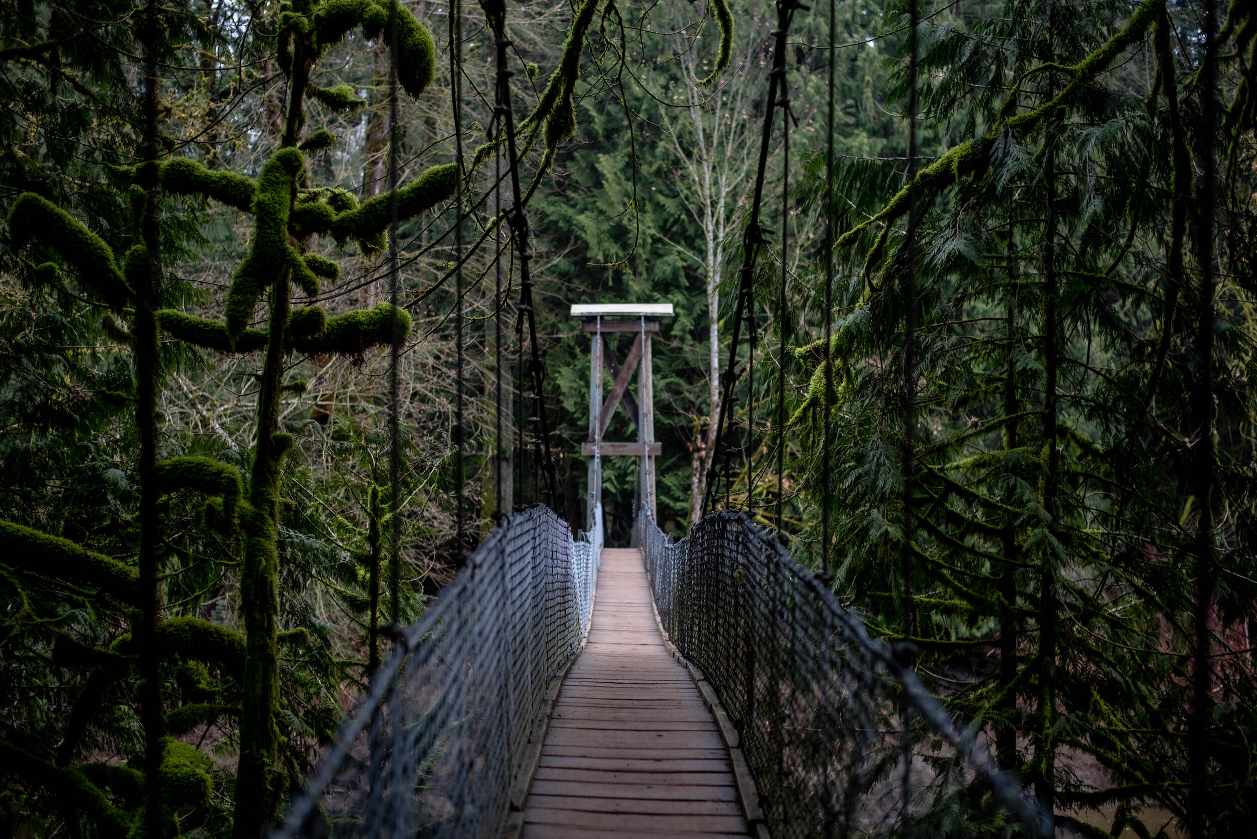 Bright Angel Park, Vancouver Island, British Columbia