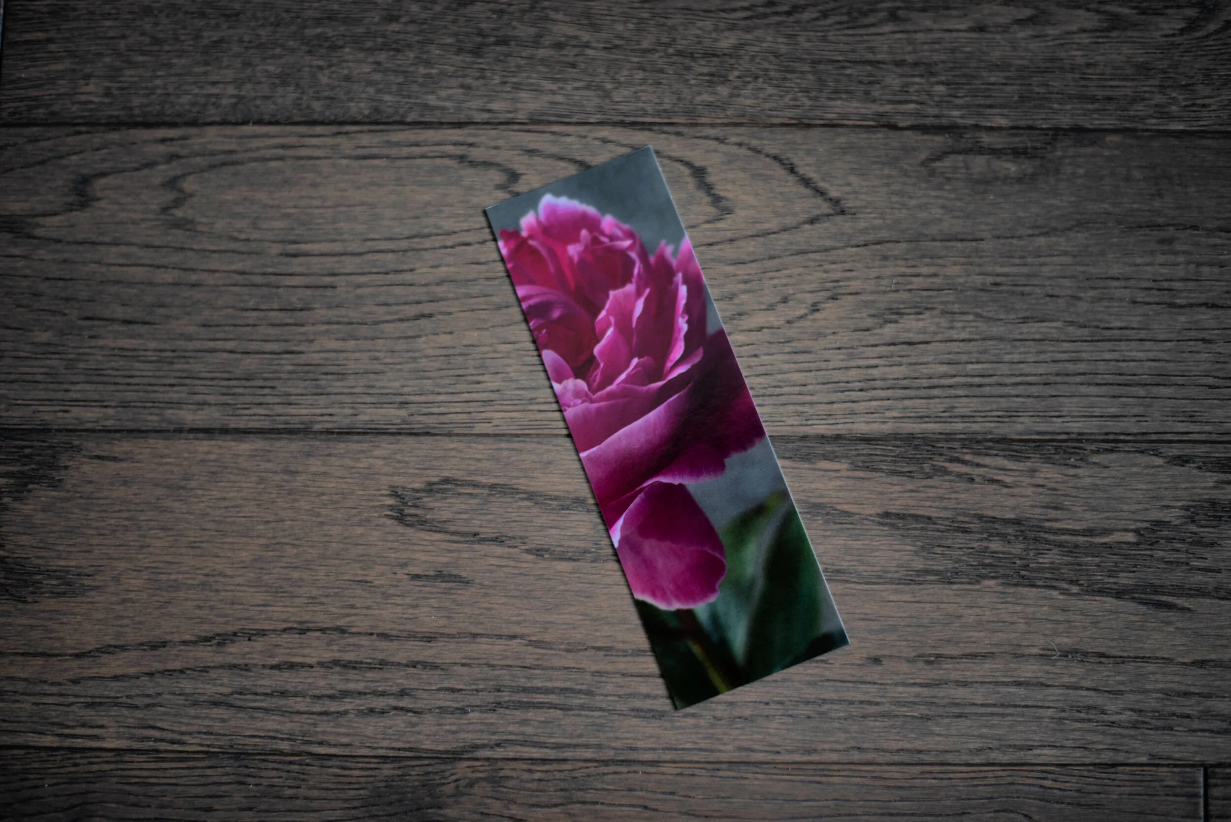 Flower.jpg