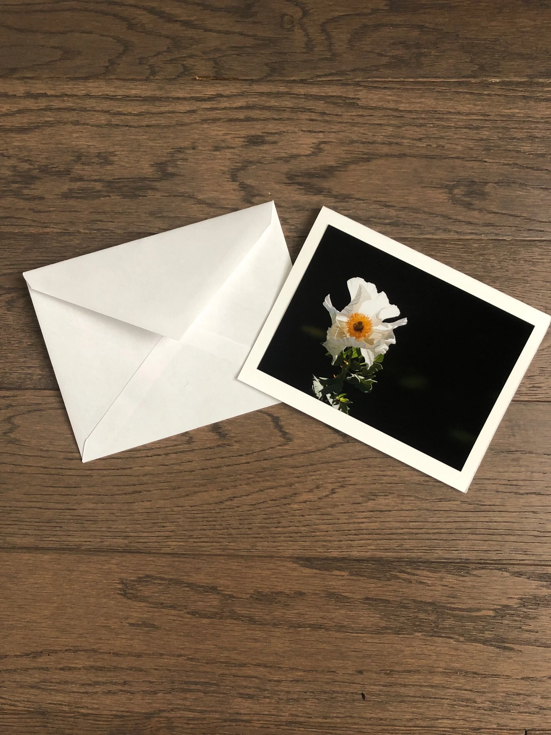 BEC1CD7F-4CC3-4A79-8E6B-F6BC3456D374