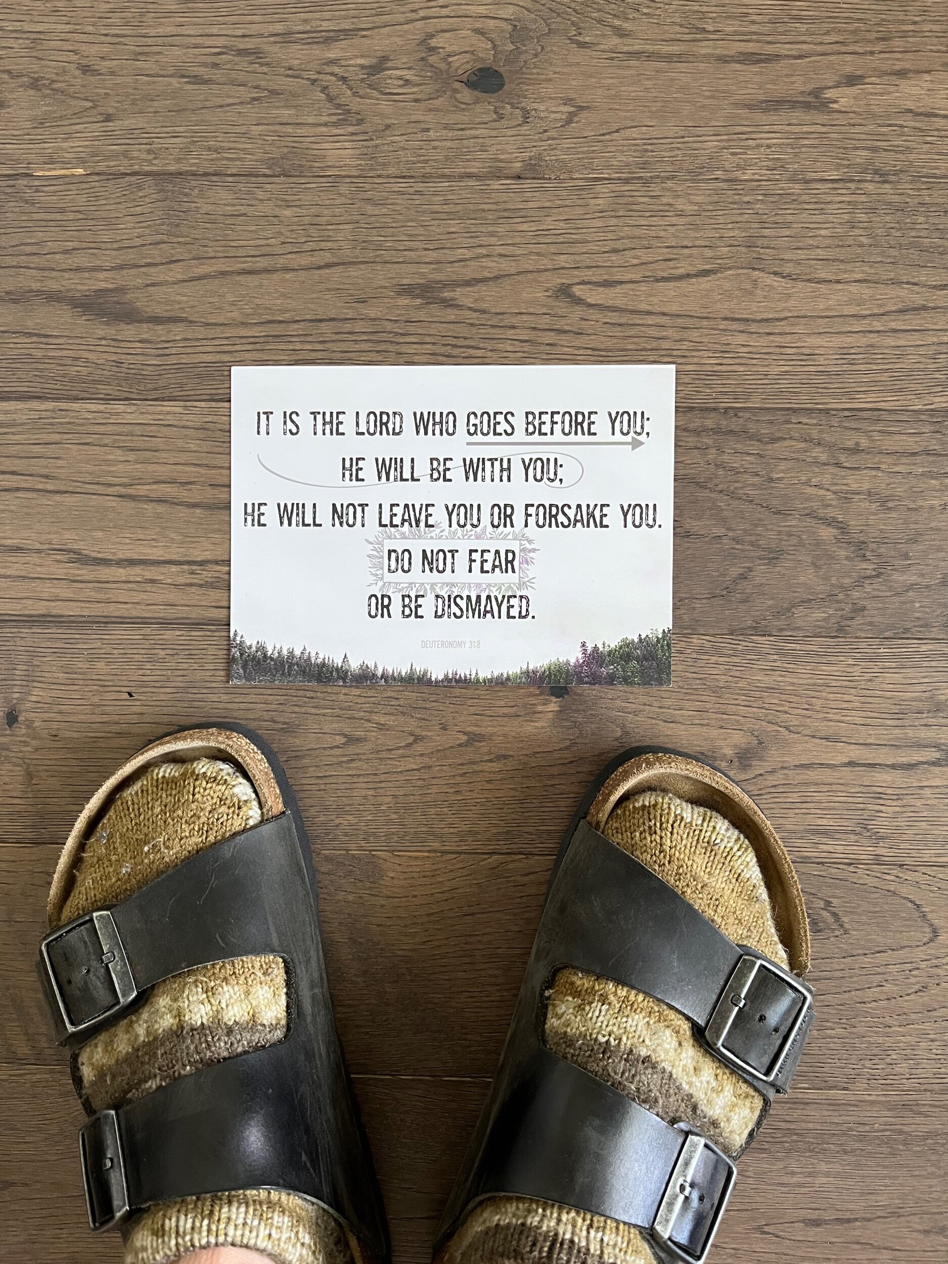 554AFA86-F287-4AC4-8D17-4CD3B6B33142