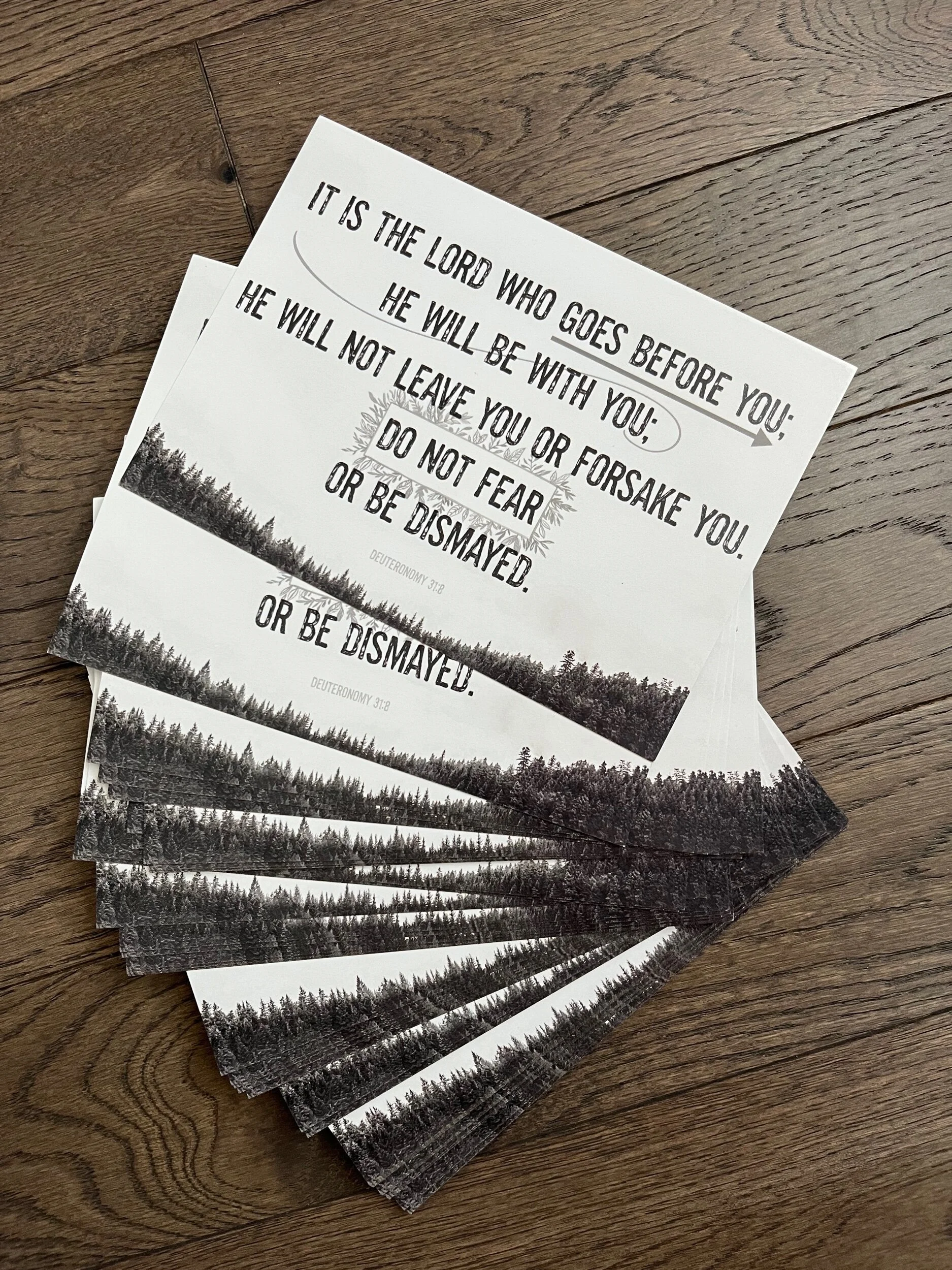 F0B4FAF6-7A0B-4611-A58D-95906CCA5819