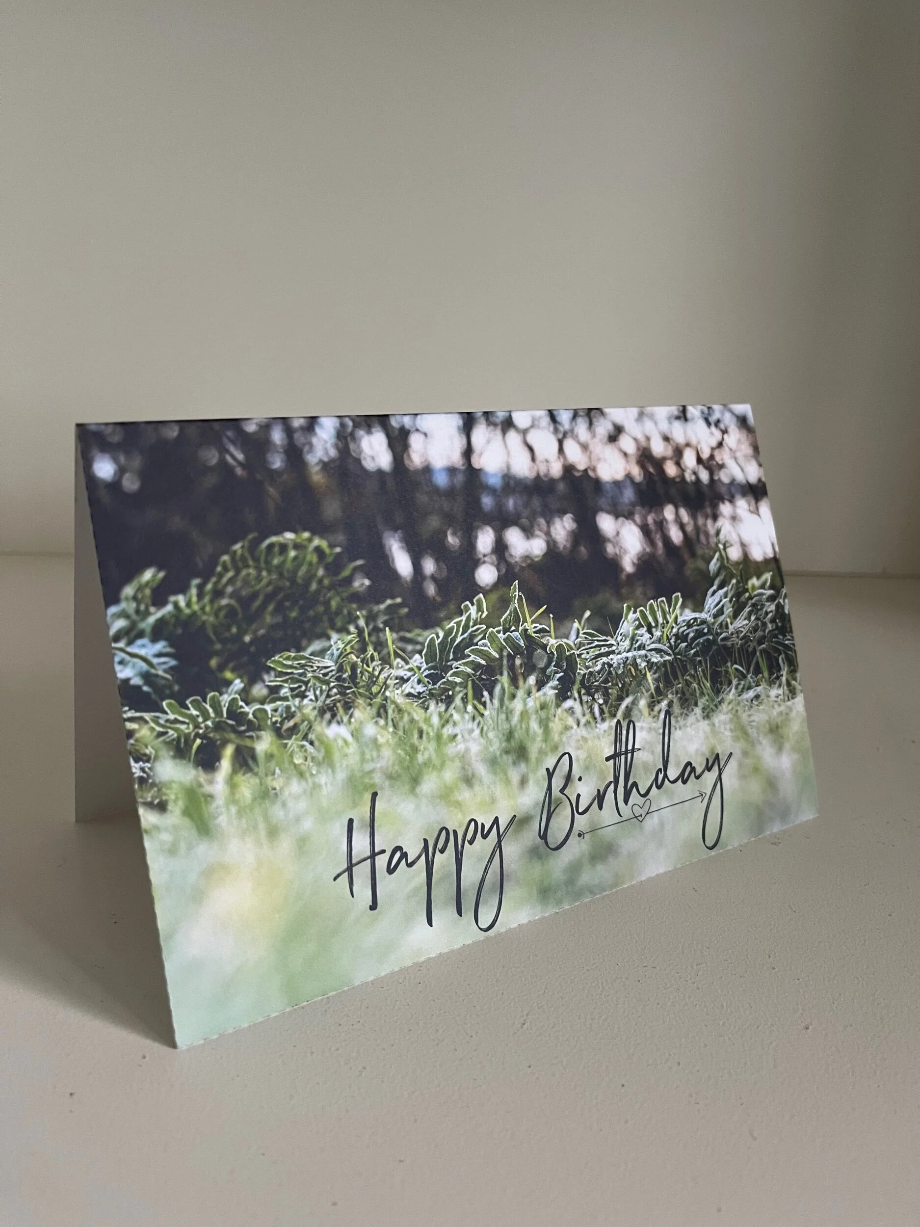 71B348FD-57CF-4847-AF78-053350E21E9B