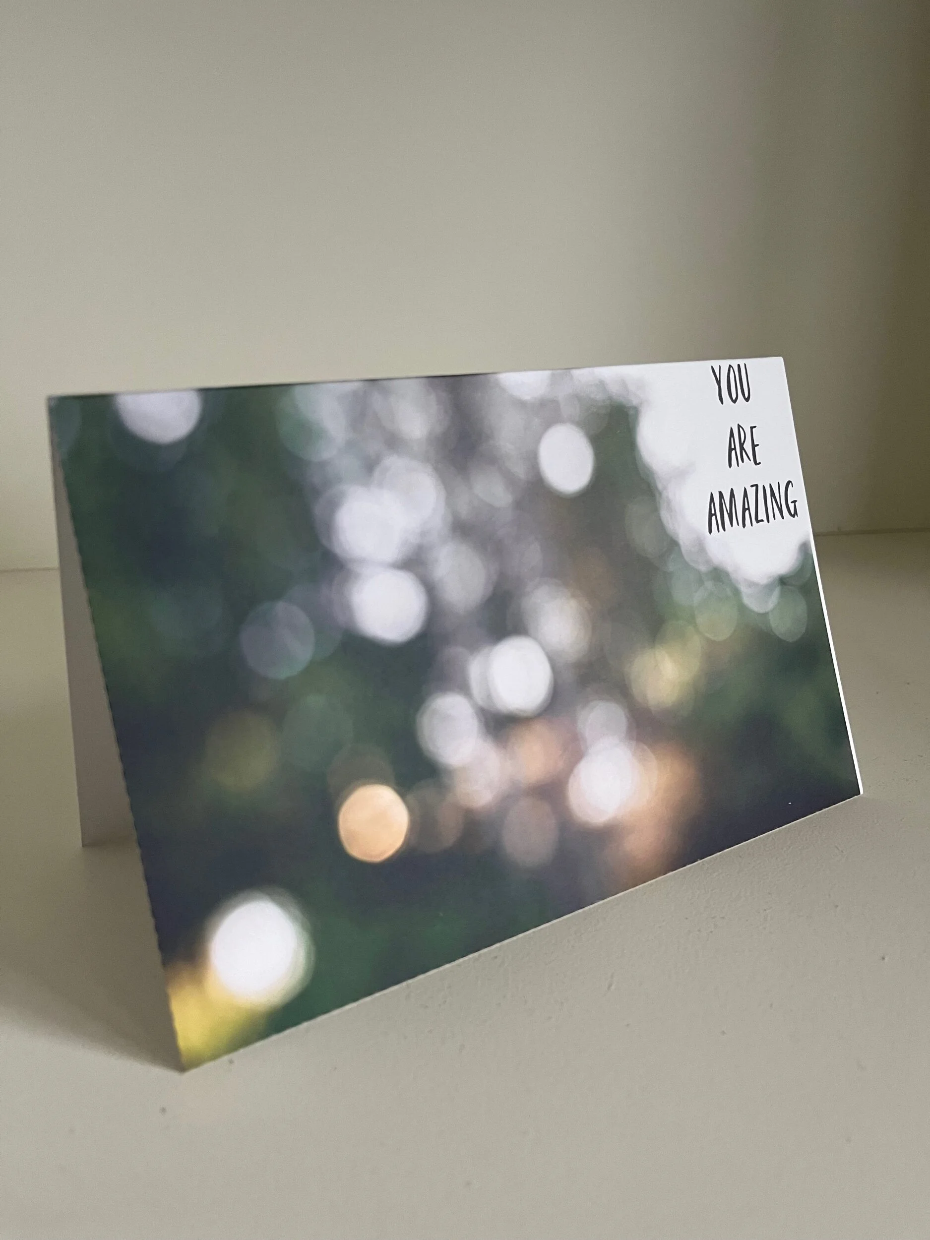 3B84E33D-5FC2-40B7-A730-947D34D65F33